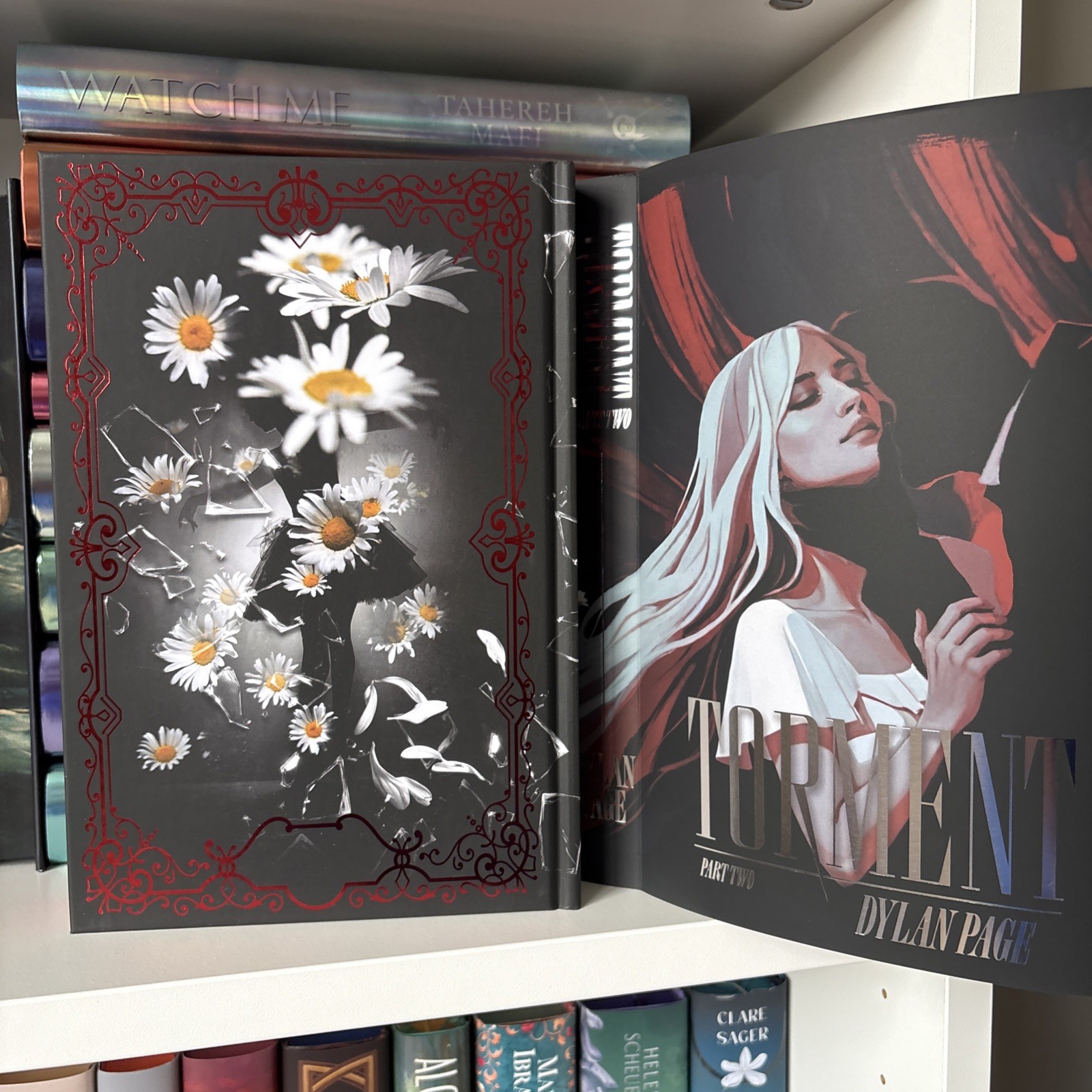 Torment Part 1 and Part 2 by Dylan Page Mystic Book Box Special Editions