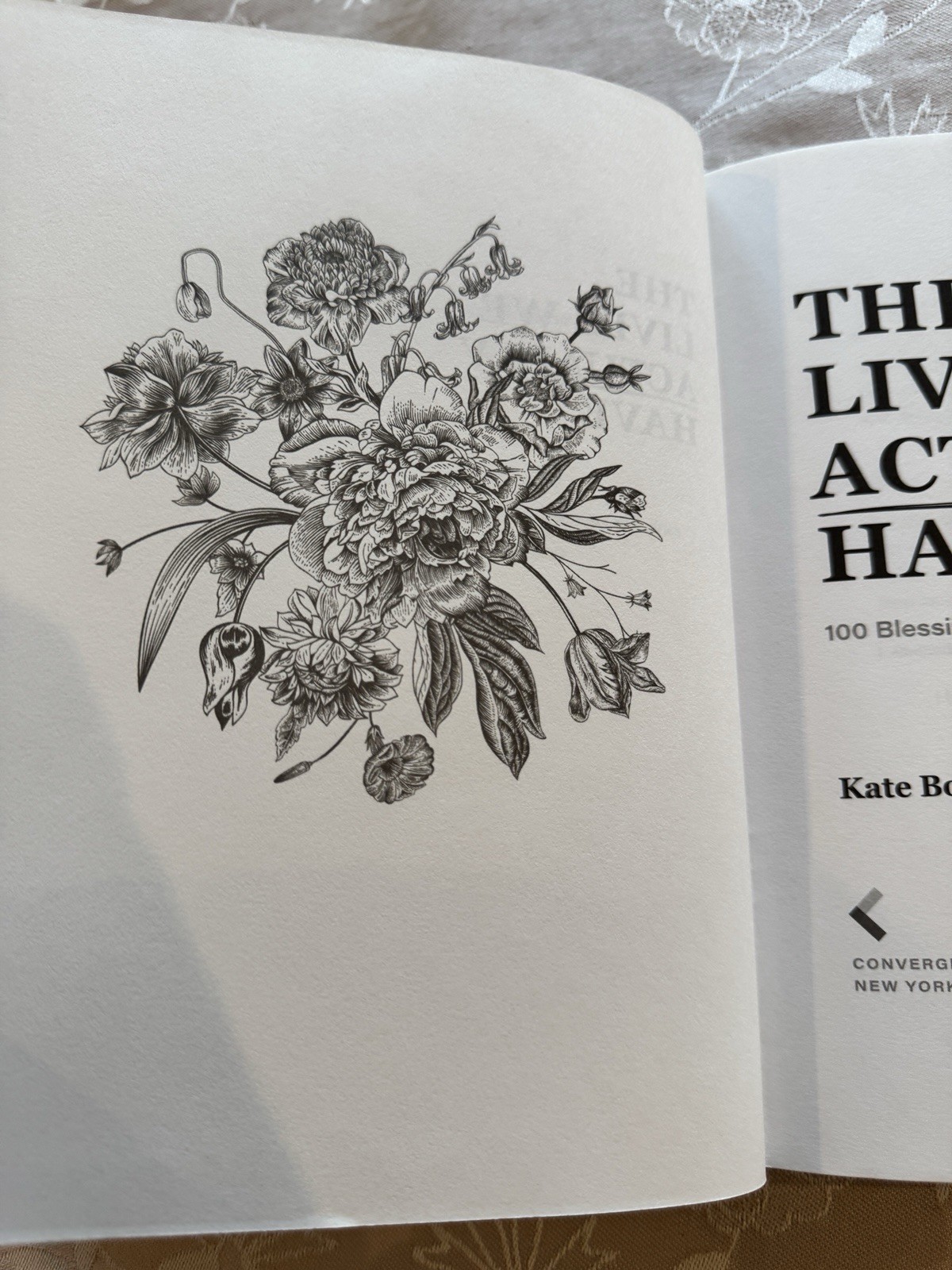 Lives We Actually Have | 100 Blessings for Imperfect Days | by Kate Bowler | HC