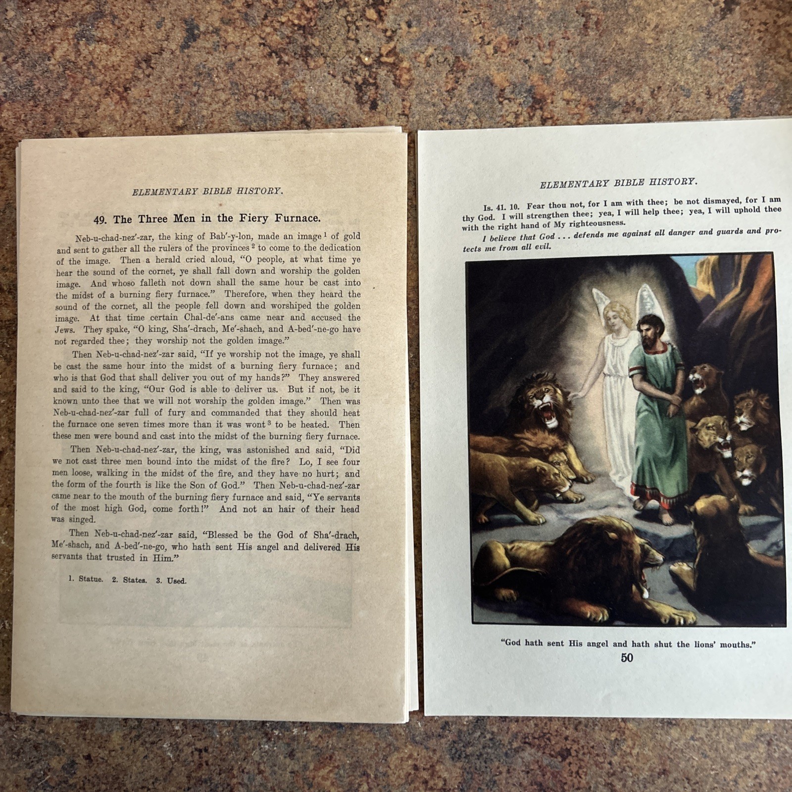 Elementary Bible History Words of Holy Scripture Loose Leaf Pages Illustrated