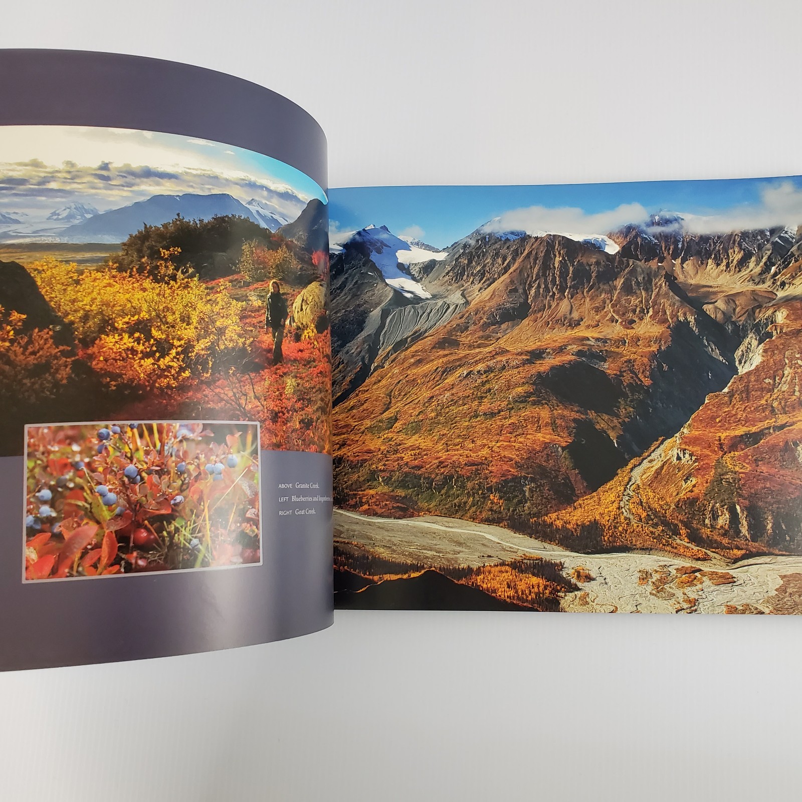 Signed ~ My Wrangell Mountains by Ruedi Homberger Jon & Jona Van Zyle 2011 PB