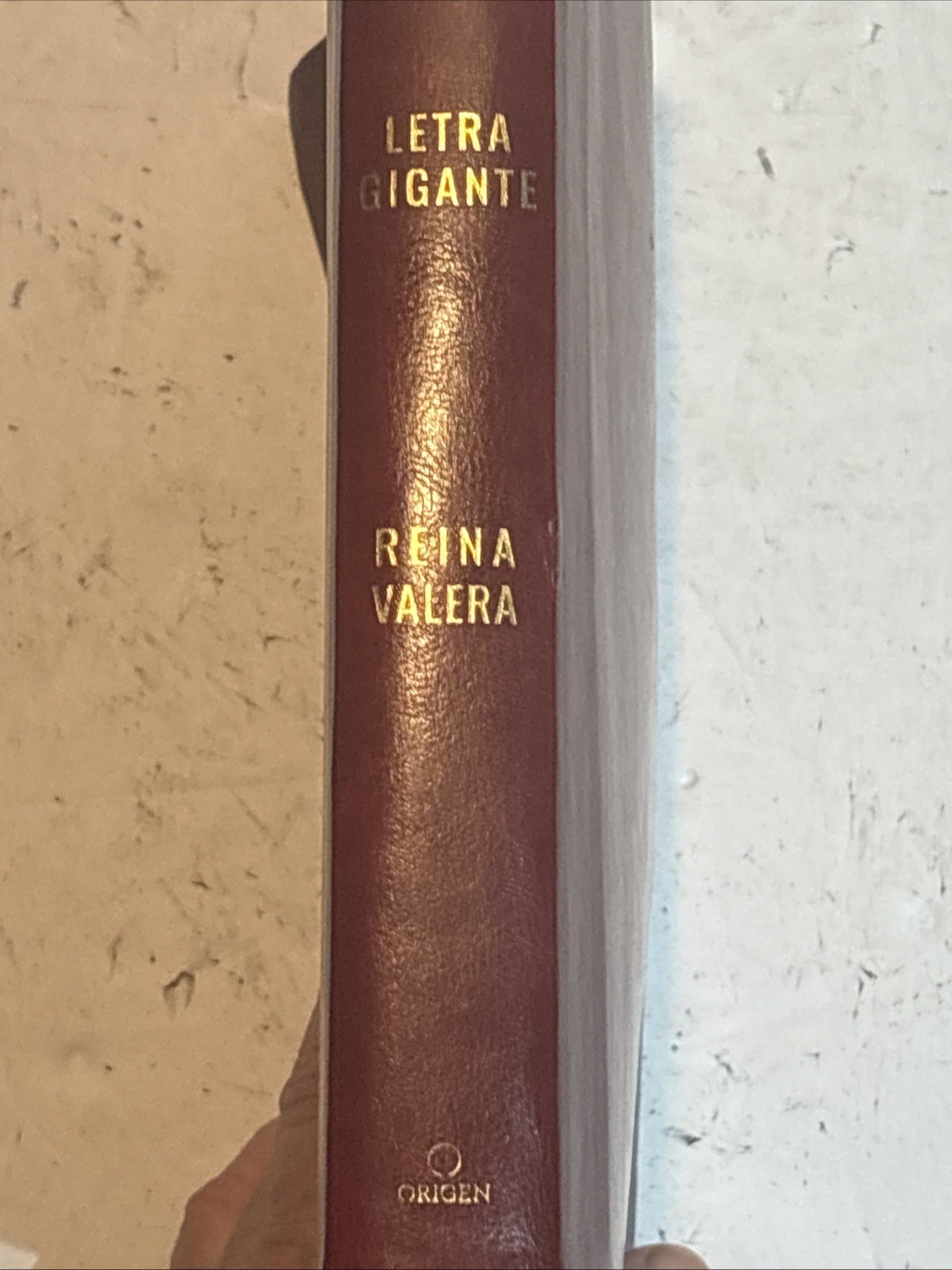 Santa Biblia Reina Valera Letra Gigante Spanish Bible Origen