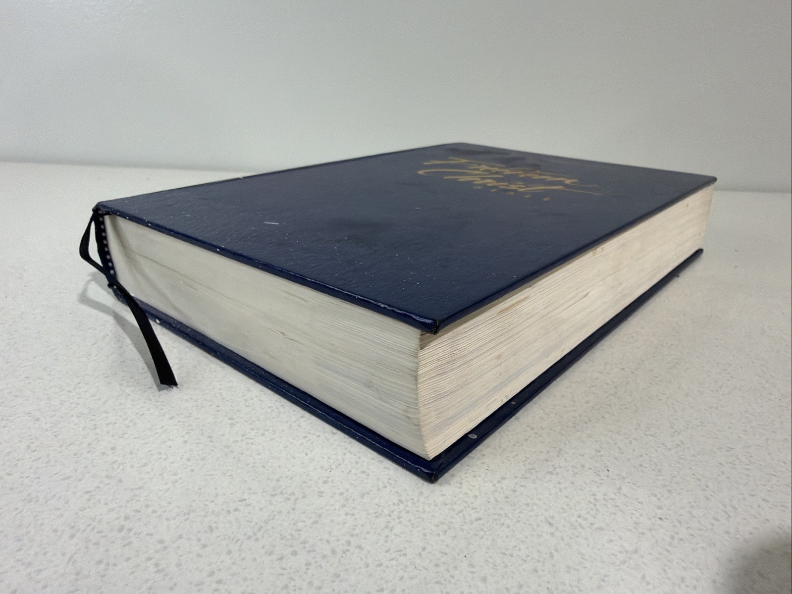 Freedom in Christ Bible by Zondervan Staff Blue 2001 Paint Splatter On Book