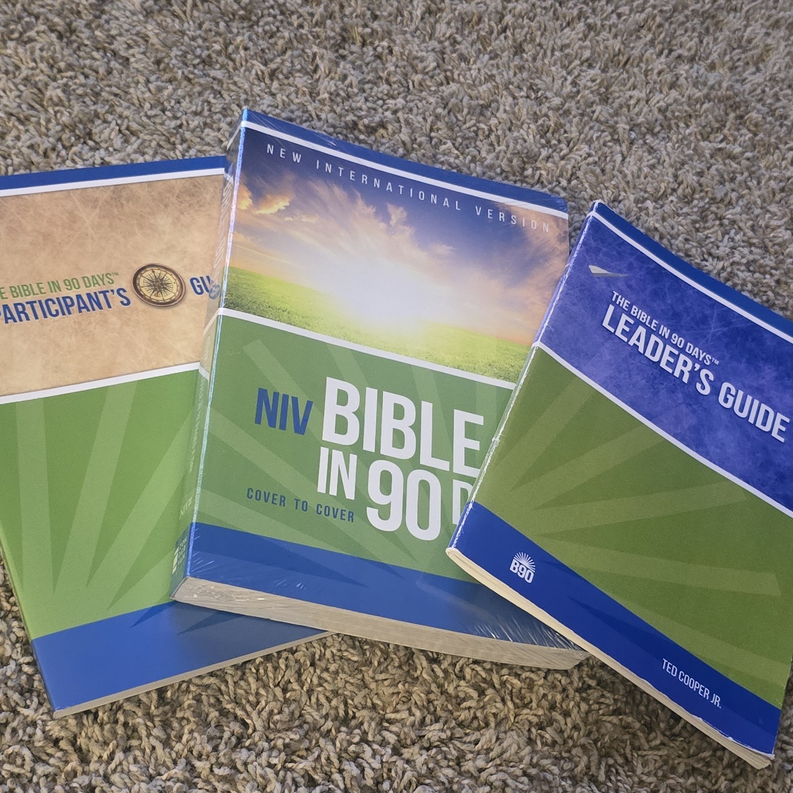 Bible in 90 Days-NIV: 12 Pages a Day Zondervan/Participants & Leaders Guide Set