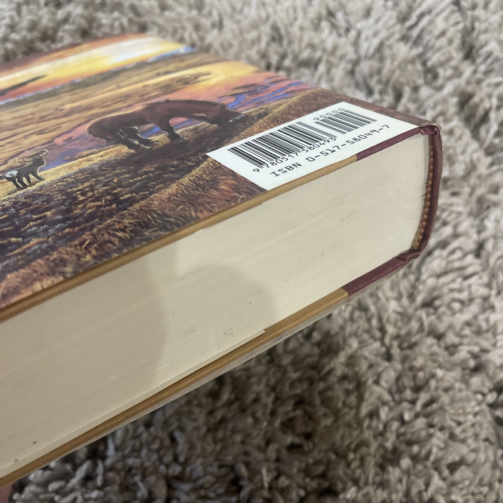Earth’s Children Ser.: The Plains of Passage : A Novel by Jean M. Auel 1990 HCDJ