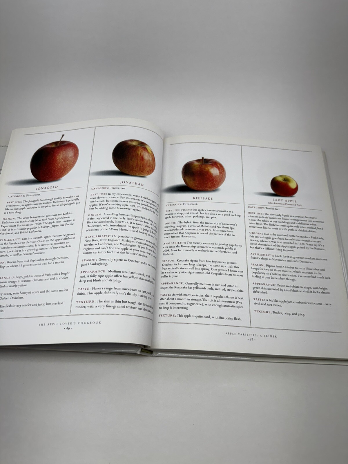 The Apple Lover’s Cookbook Amy Traverso Hardback Squire Fox 1st Printing Edition