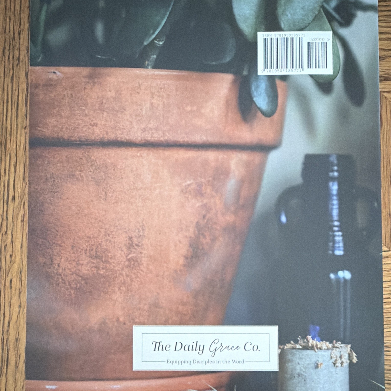 The Daily Grace Co. The God That Comes Near Bible Study Guide PB English