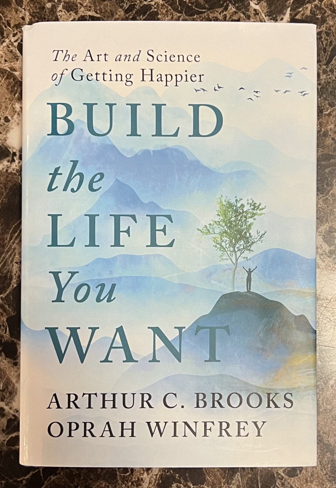 Build the Life You Want By Arthur C Brooks and Oprah Winfrey – New