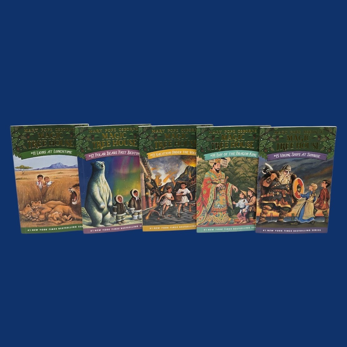 Set 6A: Magic Tree House A Library of Books 1-28 – Mary Pope Osborne Collection