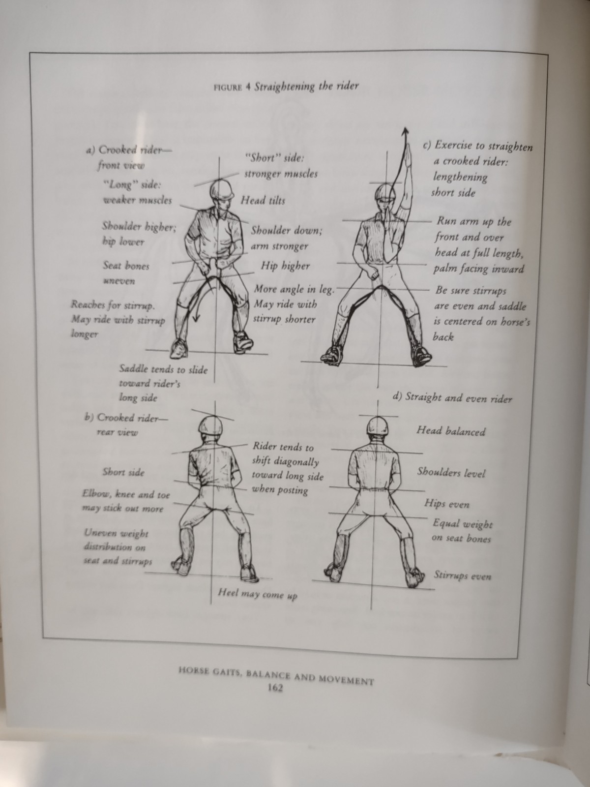 Horse Gaits, Balance and Movement Susan Harris 1993 Mechanics of Movement