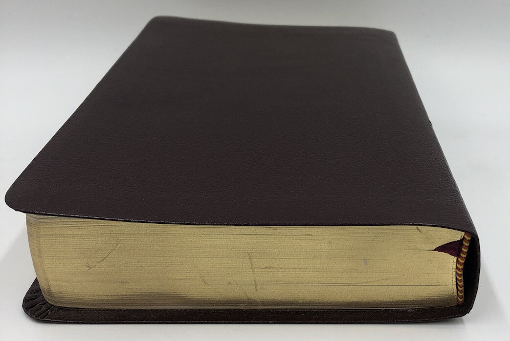 Sonrise Daily Devotional Bible~Thomas Nelson 2004 Bonded Leather ~ Burgundy