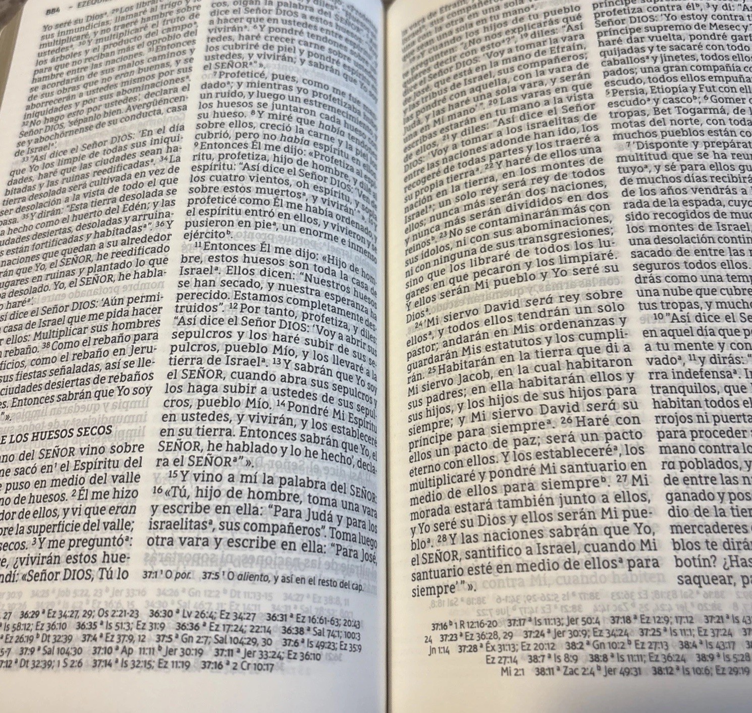 Santa Biblia Letra Grande Green Flexcovers Great Shape/Unused