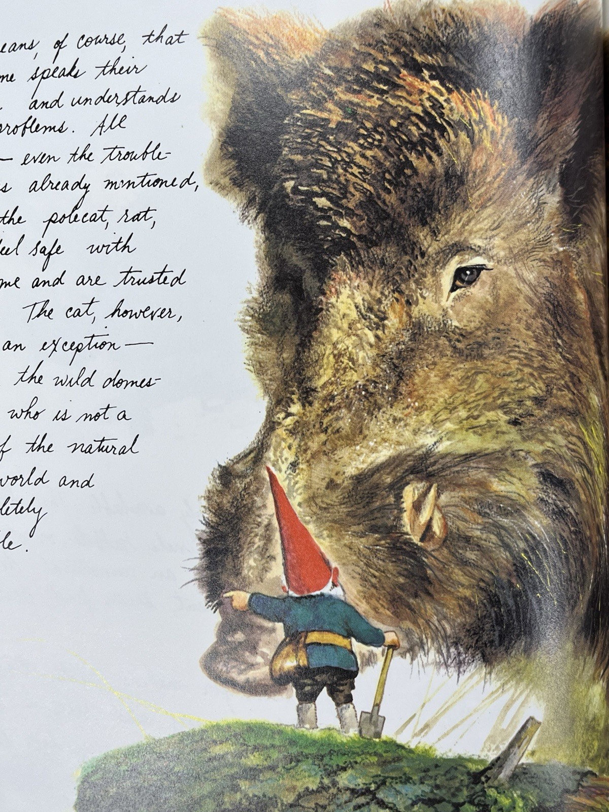 GNOMES by Huygen & Poortvliet 1977 Abrams 100s of color Illus 1st Ed HC/DJ VG+