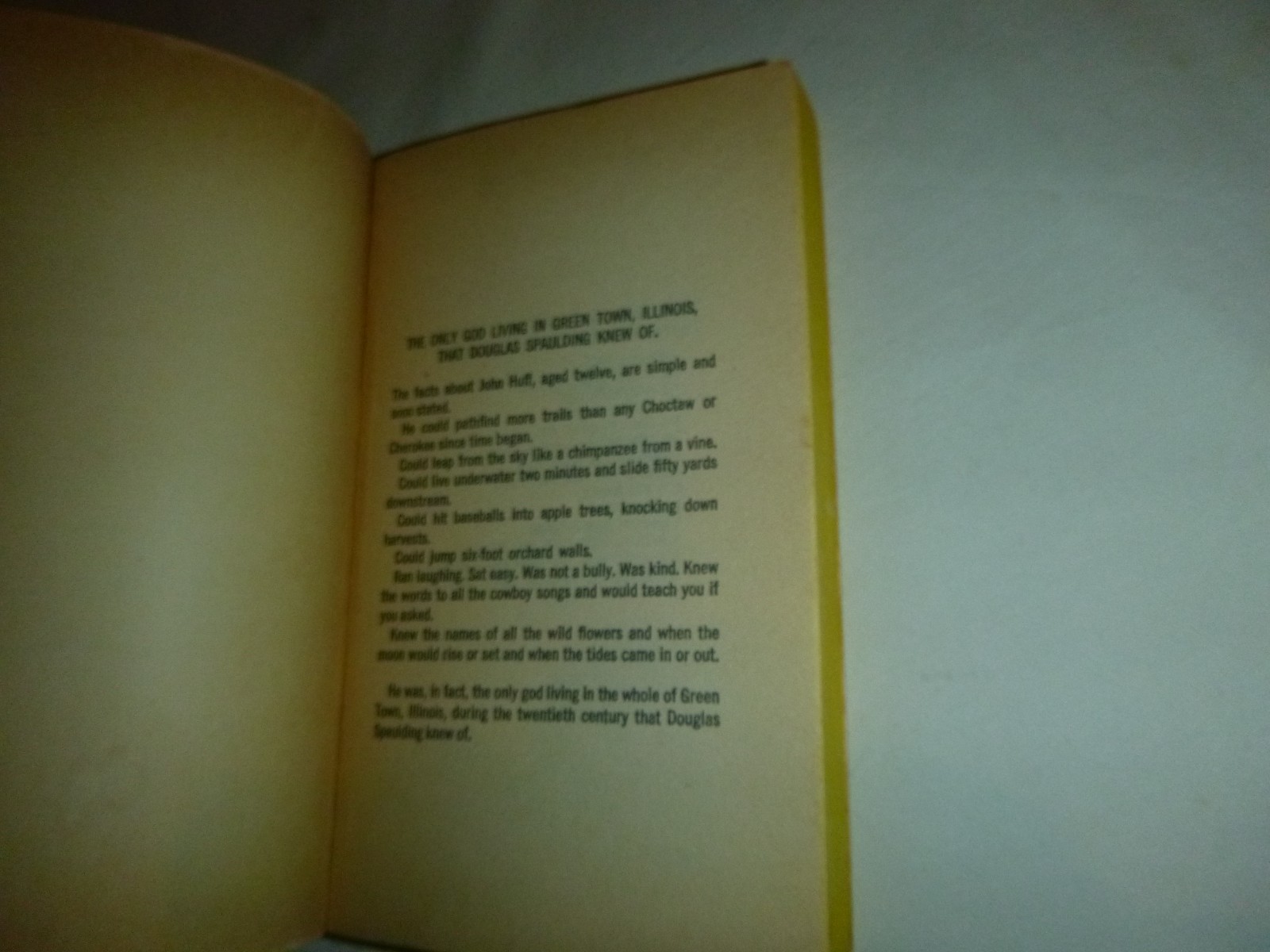 Dandelion Wine by Ray Bradbury – Vintage 1981 Paperback Book
