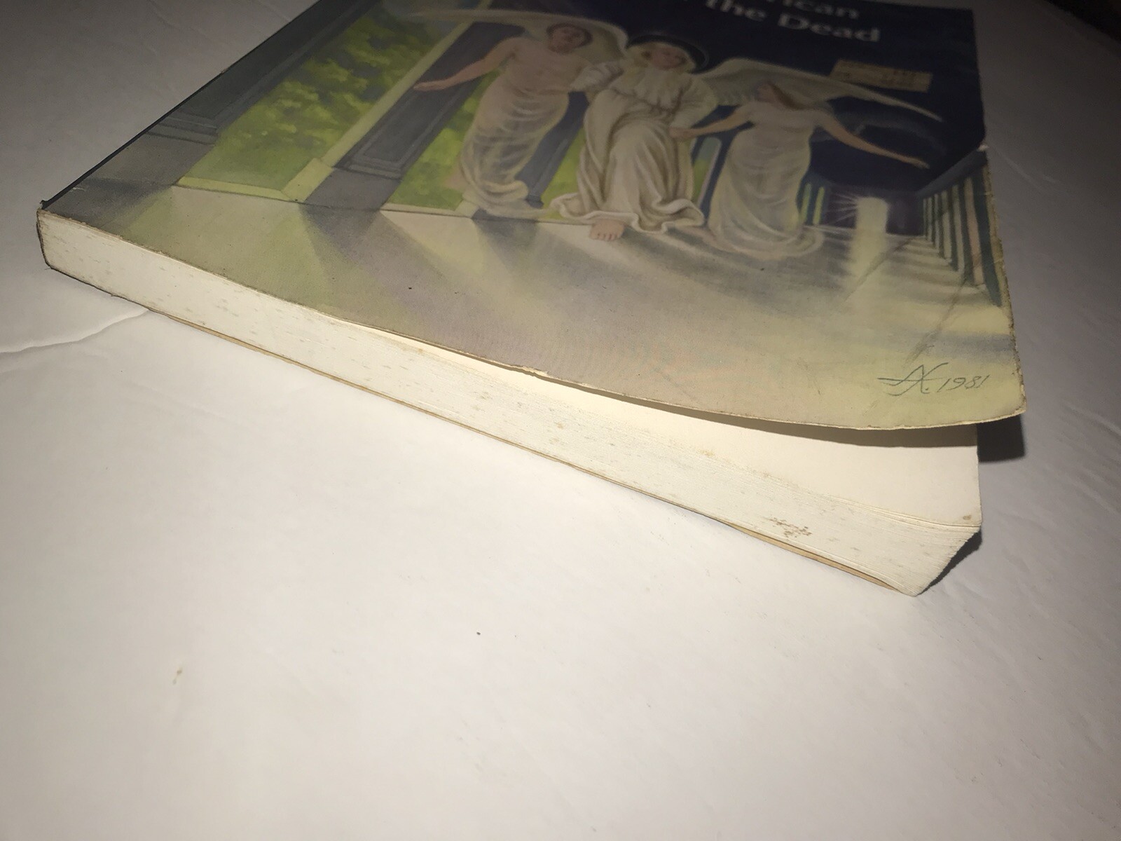“New American Book of the Dead” by Gold, E. J. Book 1981 210 Pages Rare