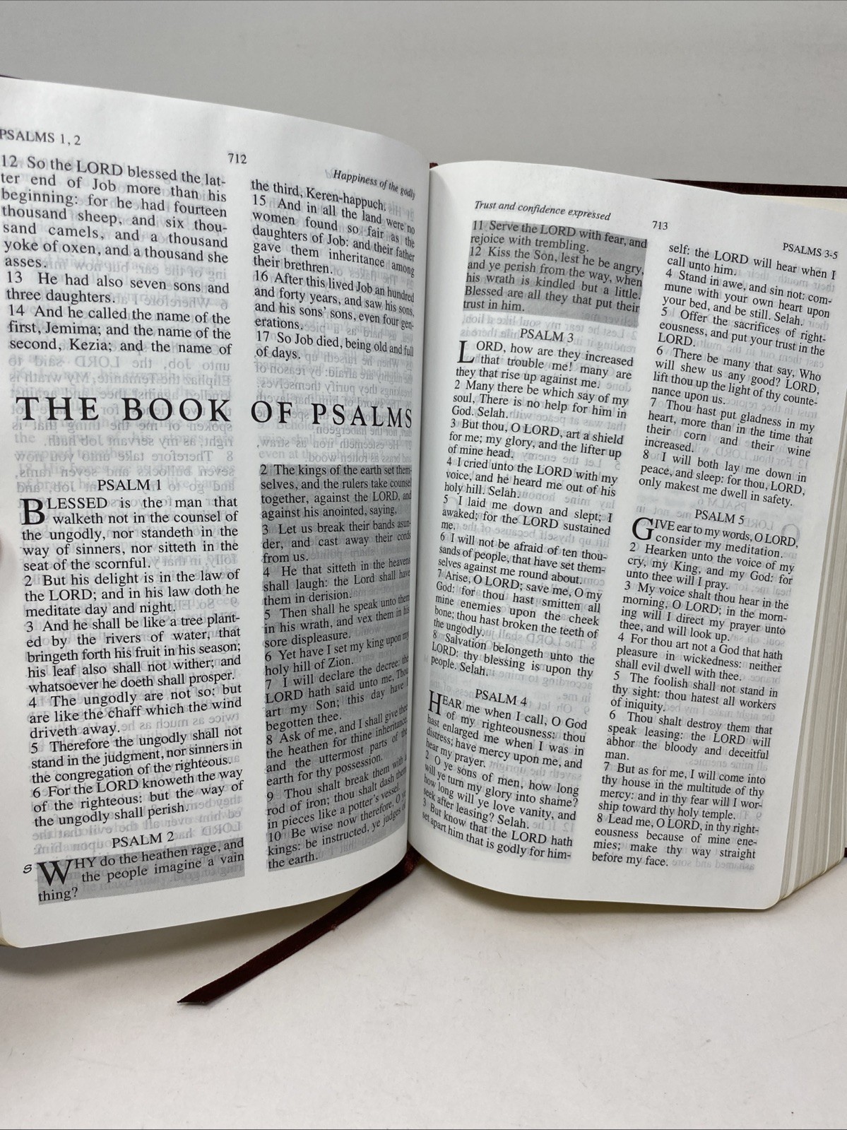 Jack Van Impe Prophecy Bible KJV 1999 Imitation Leather Red Letter Clean Pages