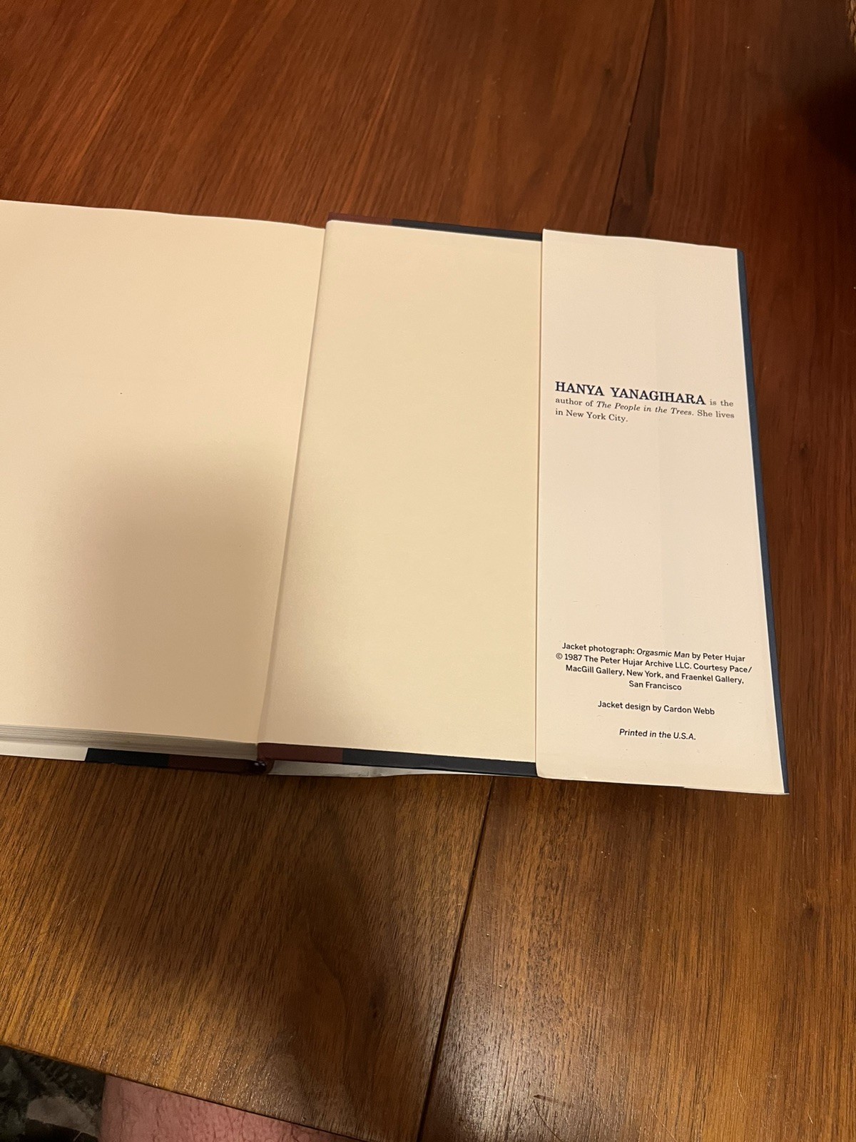 A Little Life by Hanya Yanagihara (Hardcover) 2015 First Edition – LIKE NEW!