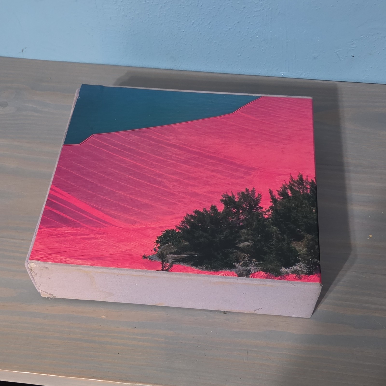 Christo Christo: Surrounded Islands Illustrated Hardcover Picture Book, Abrams