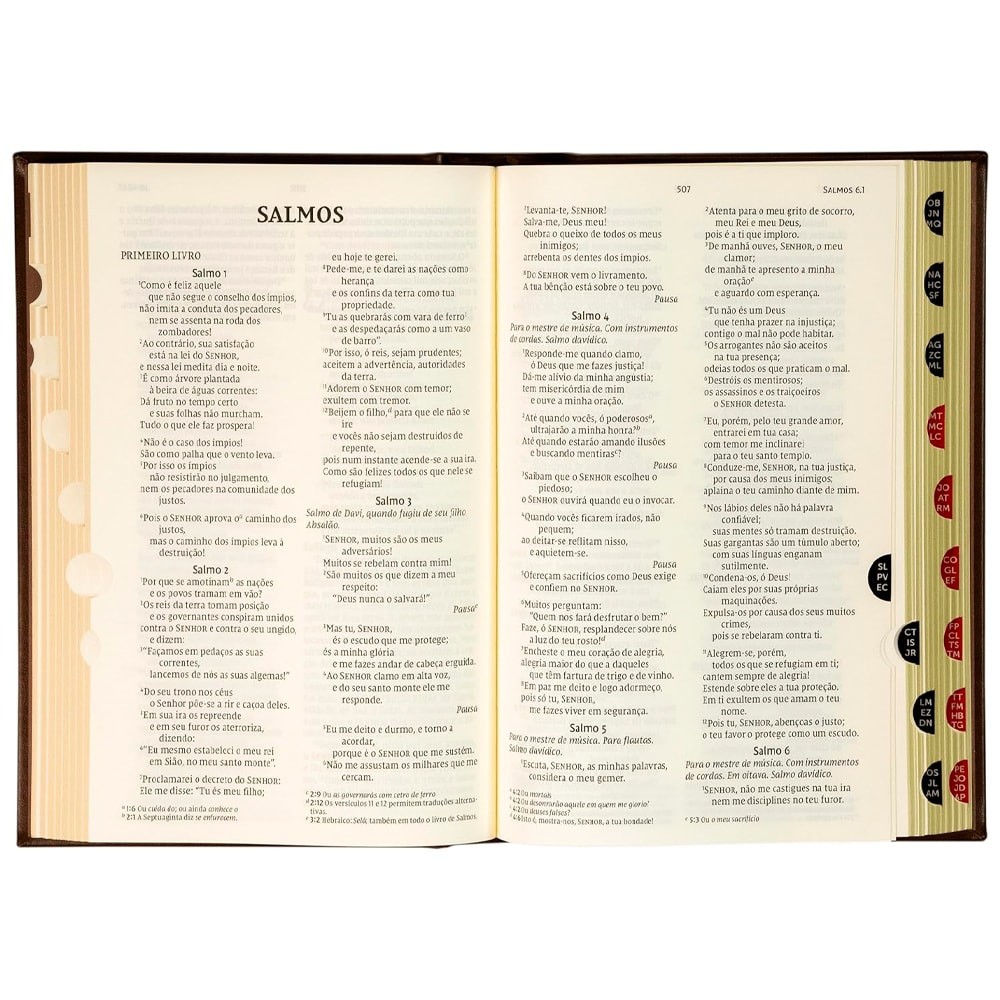 Biblia: Timoteo – NVI – Encardenacao: Capa Dura (Em Portugues do Brasil)