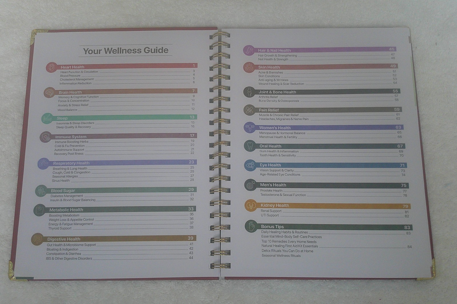 The Natural Healing Handbook by Ancient Remedies Press, Revised Edition