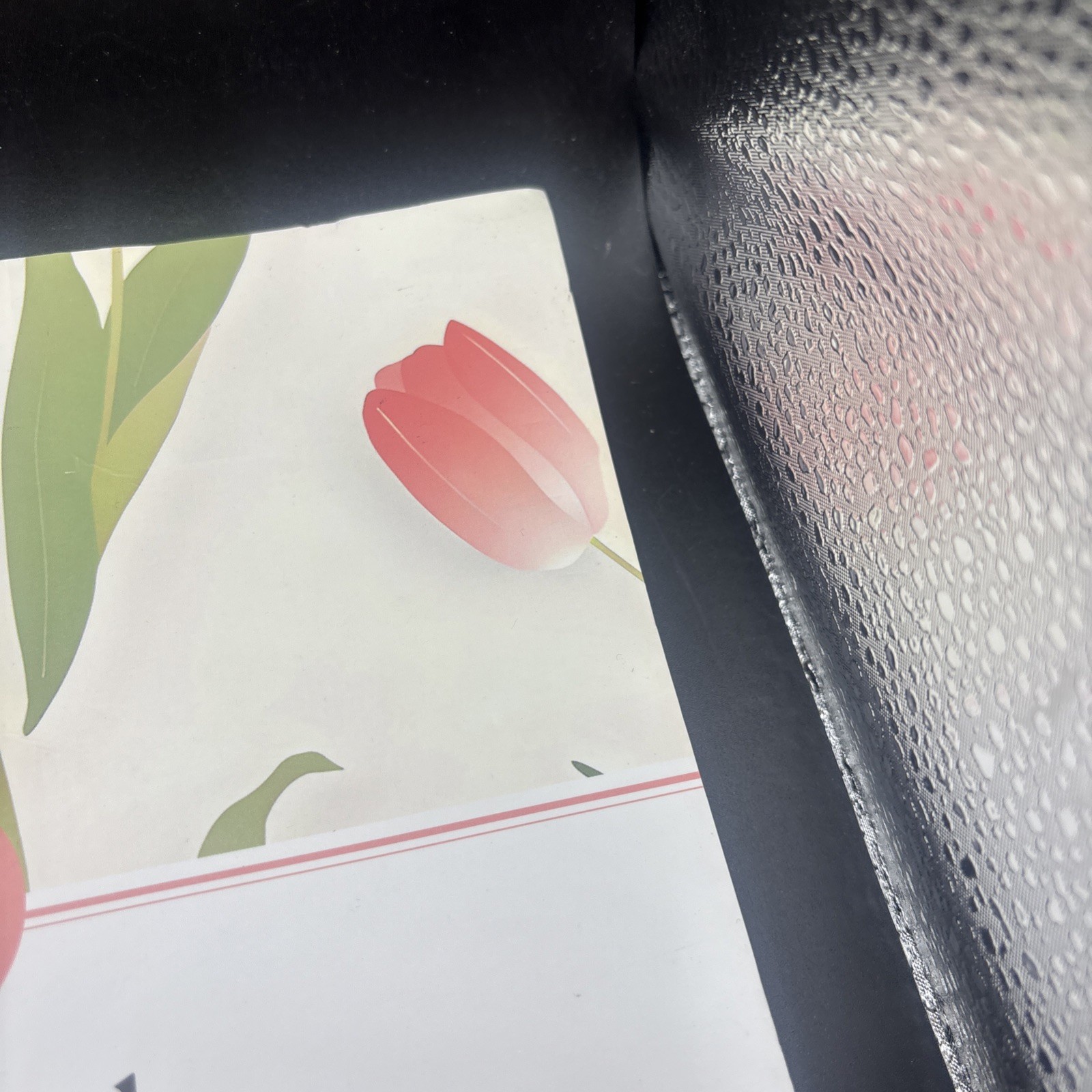 The Bible in a Year Spiral Bound Study Guide 52-Week Journey Through God’s Word