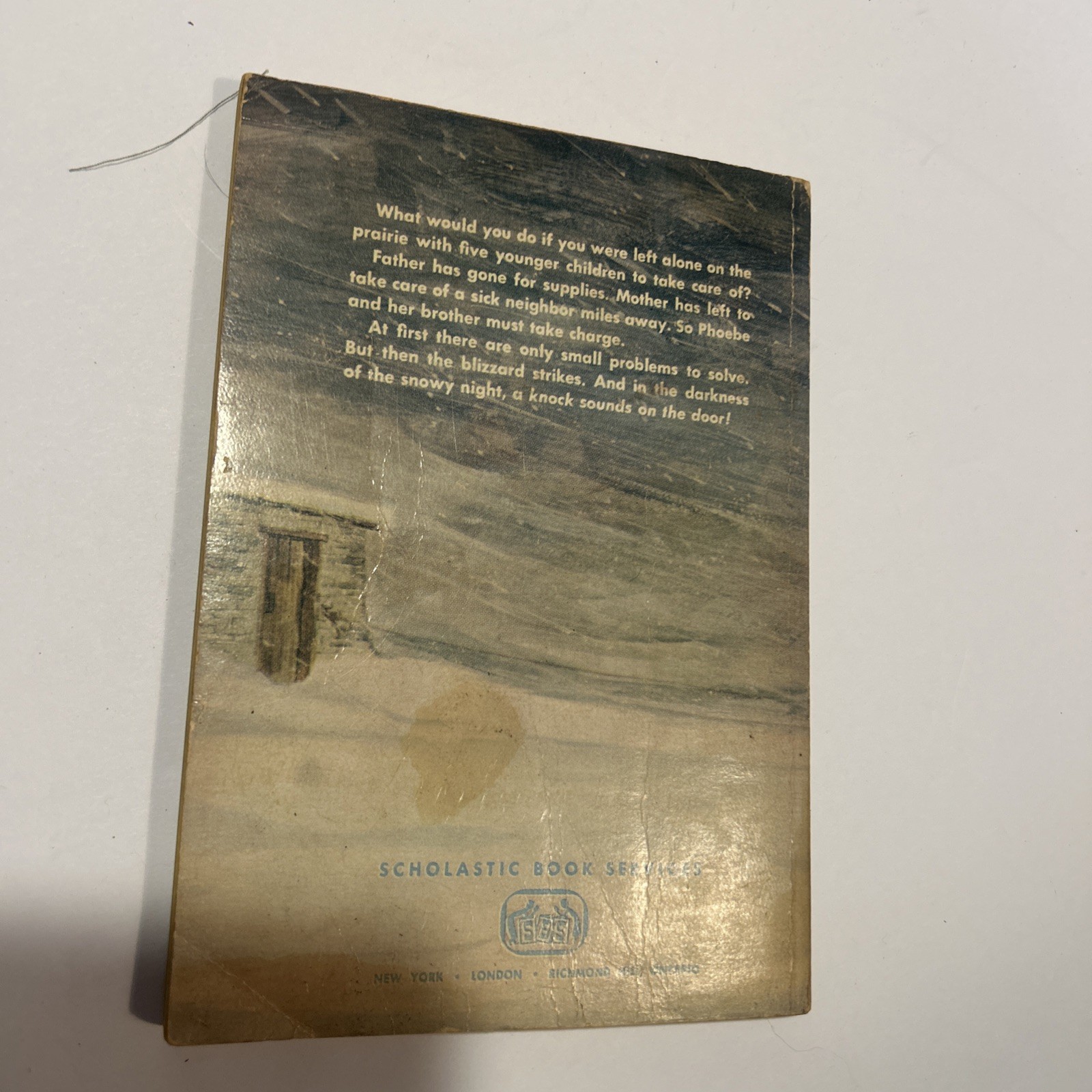 The Children Who Stayed Alone – Bonnie Bess Worline 1st Print 1956 – RARE