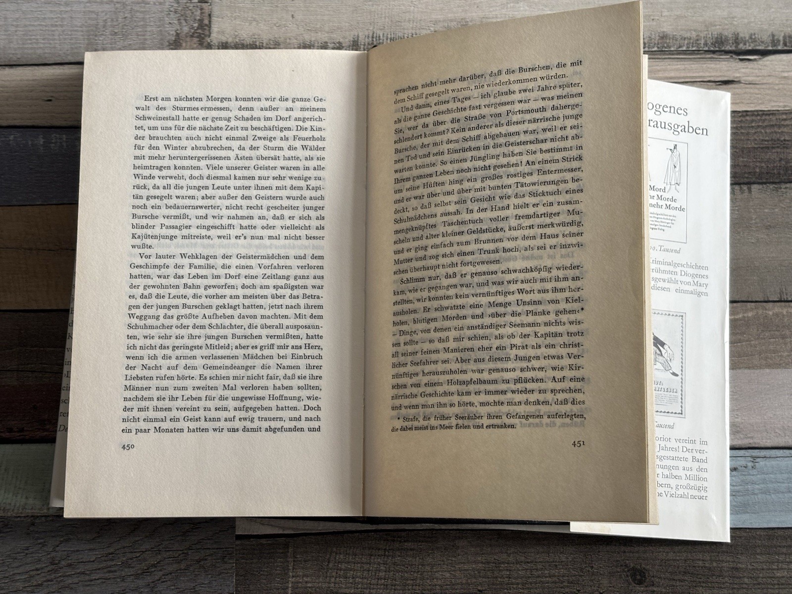 📚Buch Gruselgeschichten Poe bis Hemingway – Diogenes Sonderband mit Zeichnungen