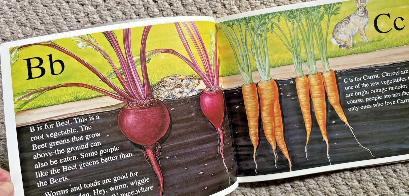 1992 The Victory Garden Alphabet PB Book By Jerry Pallotta Signed by Author