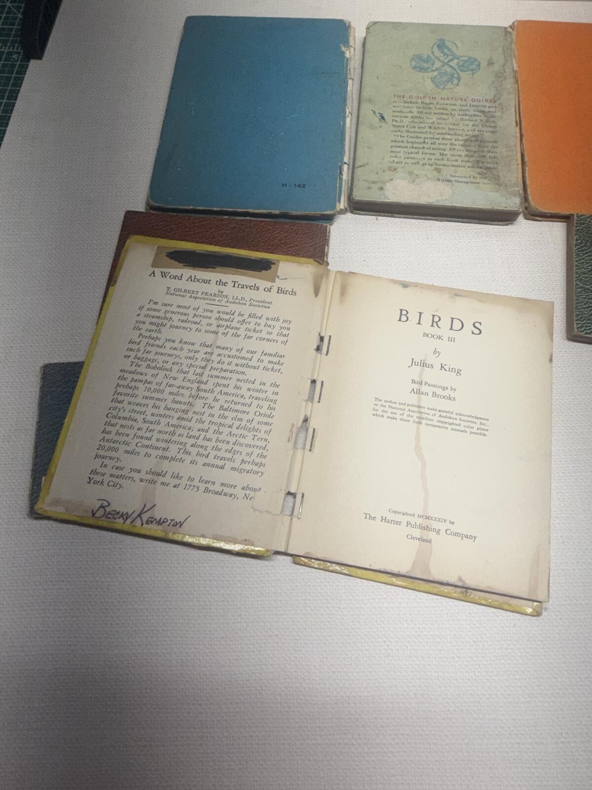 Vintage 1930s Lot Of Bird Identification Bird Watching Books