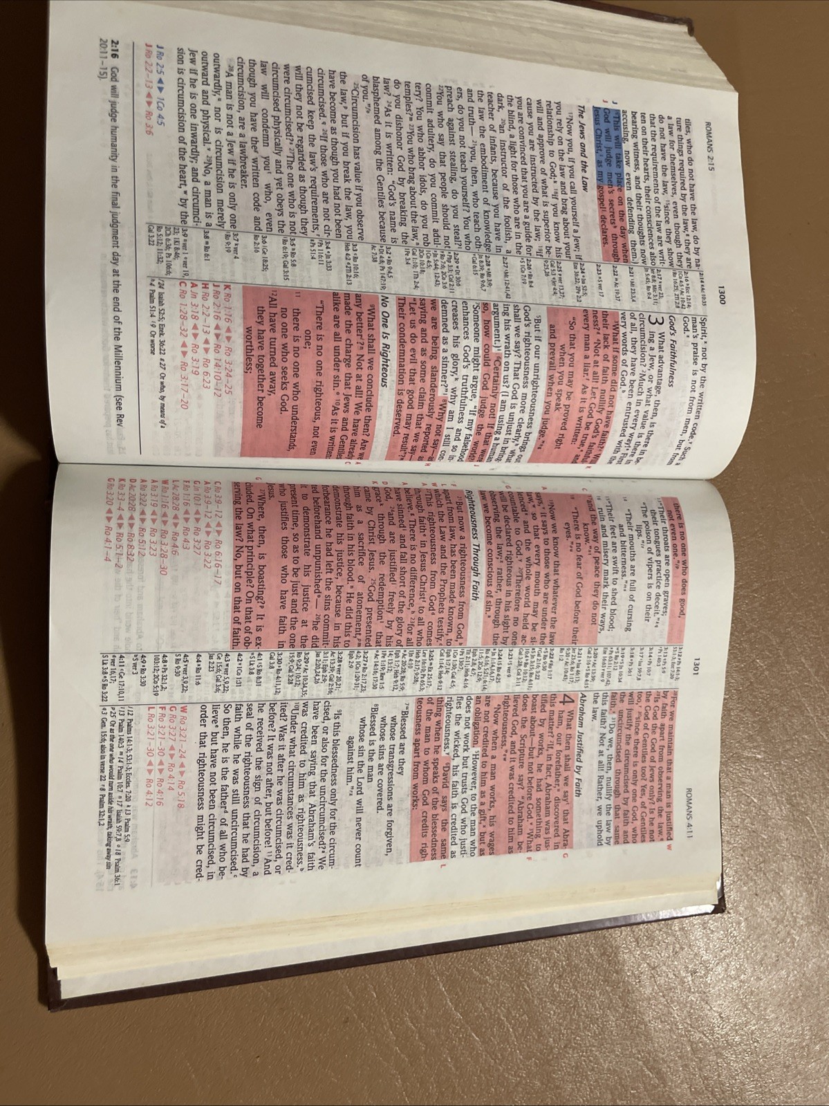 NIV Prophecy Marked Reference Study Bible 1998 Hardcover Text 1984