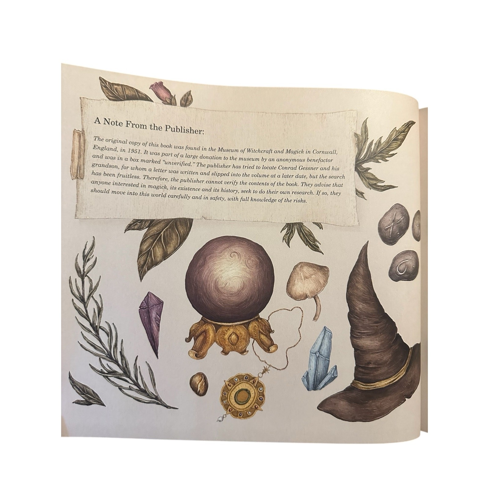 A Natural History of Magick by Poppy David Jessica Roux Hardcover Book Folklore