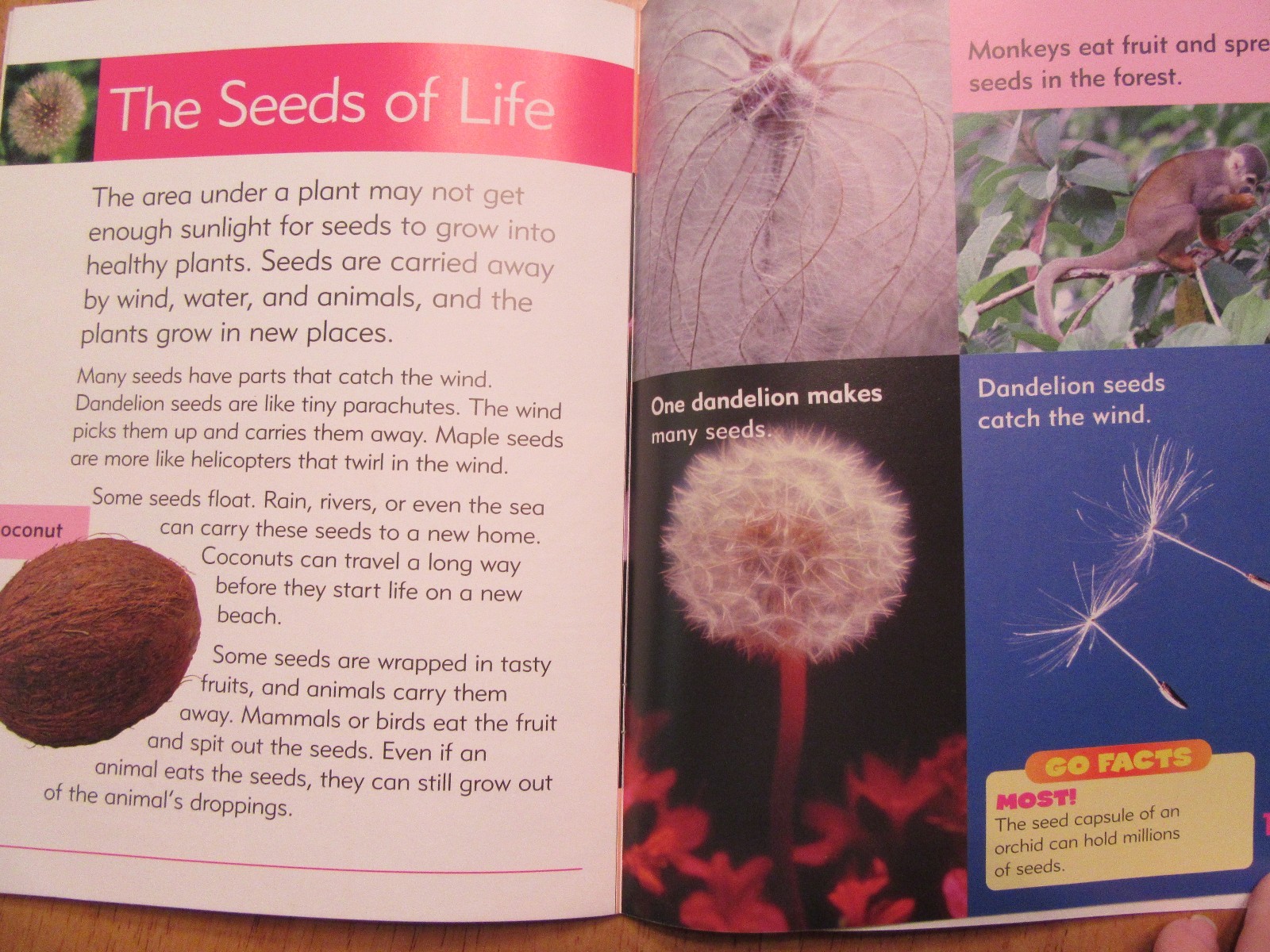 Lot of 2 NEW Go Facts Science: Sea Life & Flowers Newbridge Paperbacks Ages 6-9