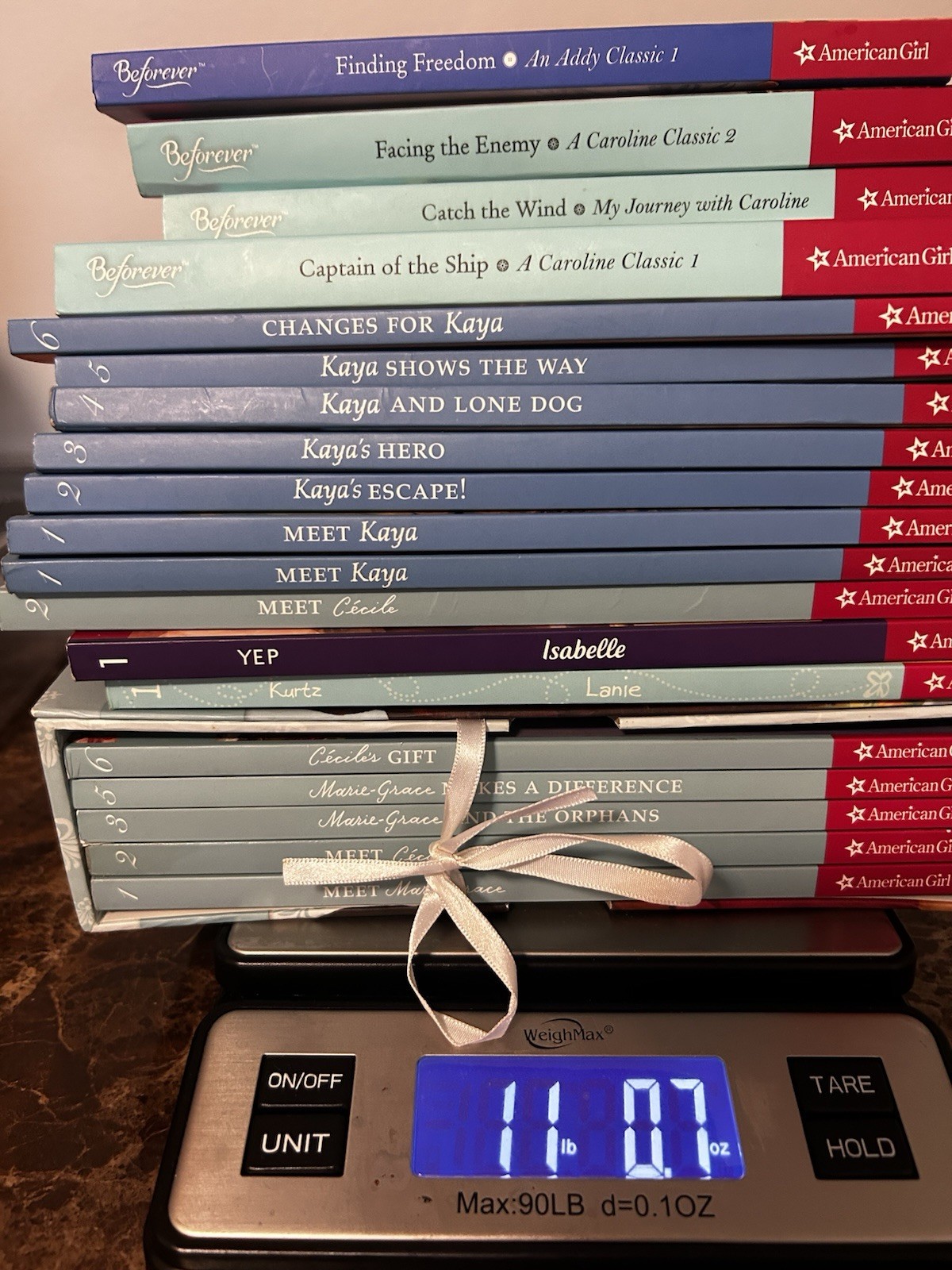 American Girl Books Lot (19 Books)