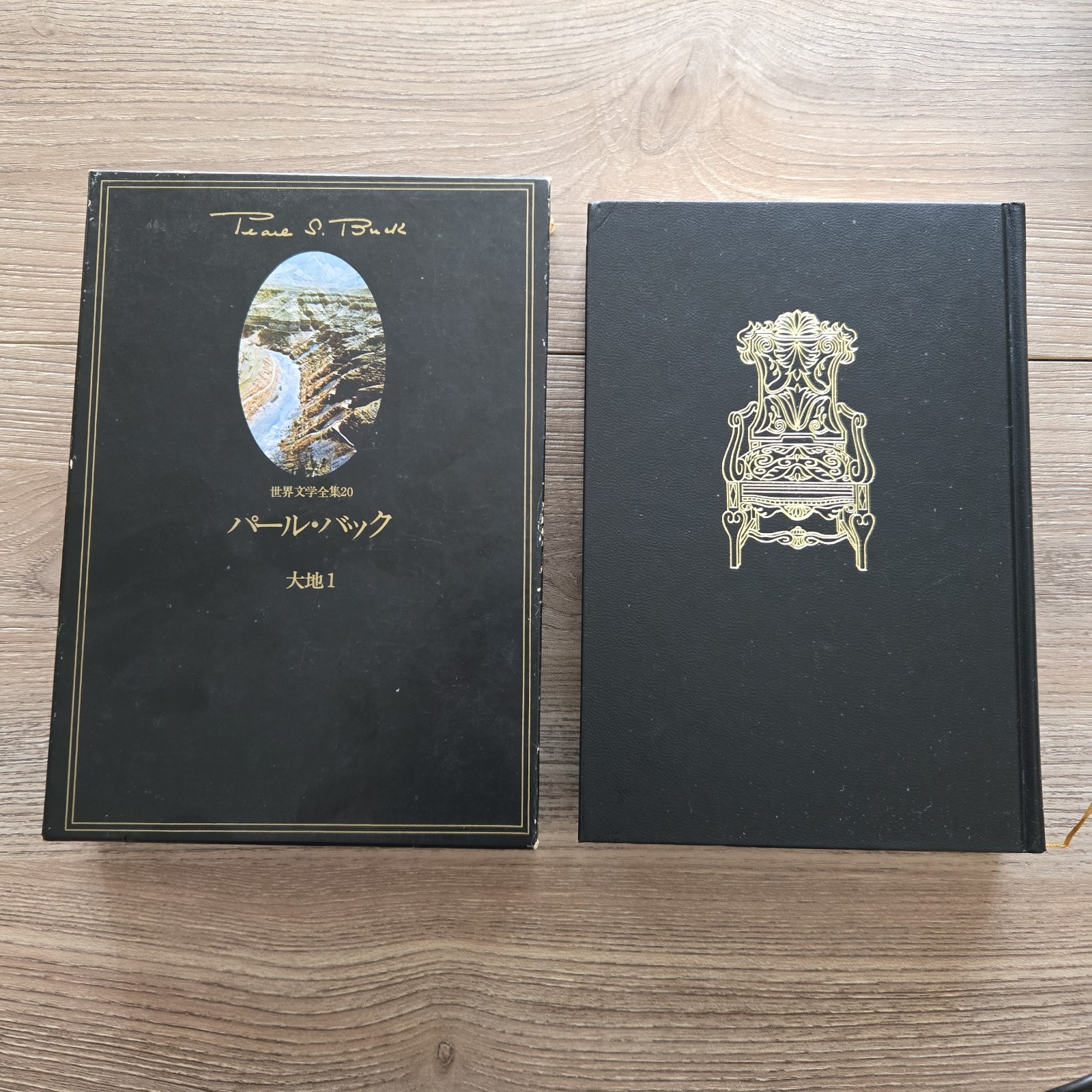 Pearl Buck 大地 The Good Earth Vol 1-2 Japanese HC Slipcase Set 1977 Complete VTG