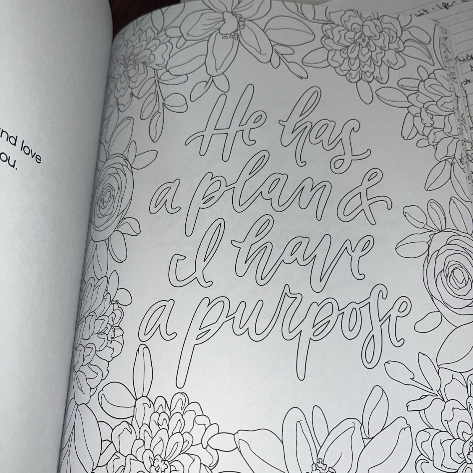 Scriptures and Florals Coloring Book – Paperback By Loveall, Allison 96 Pages