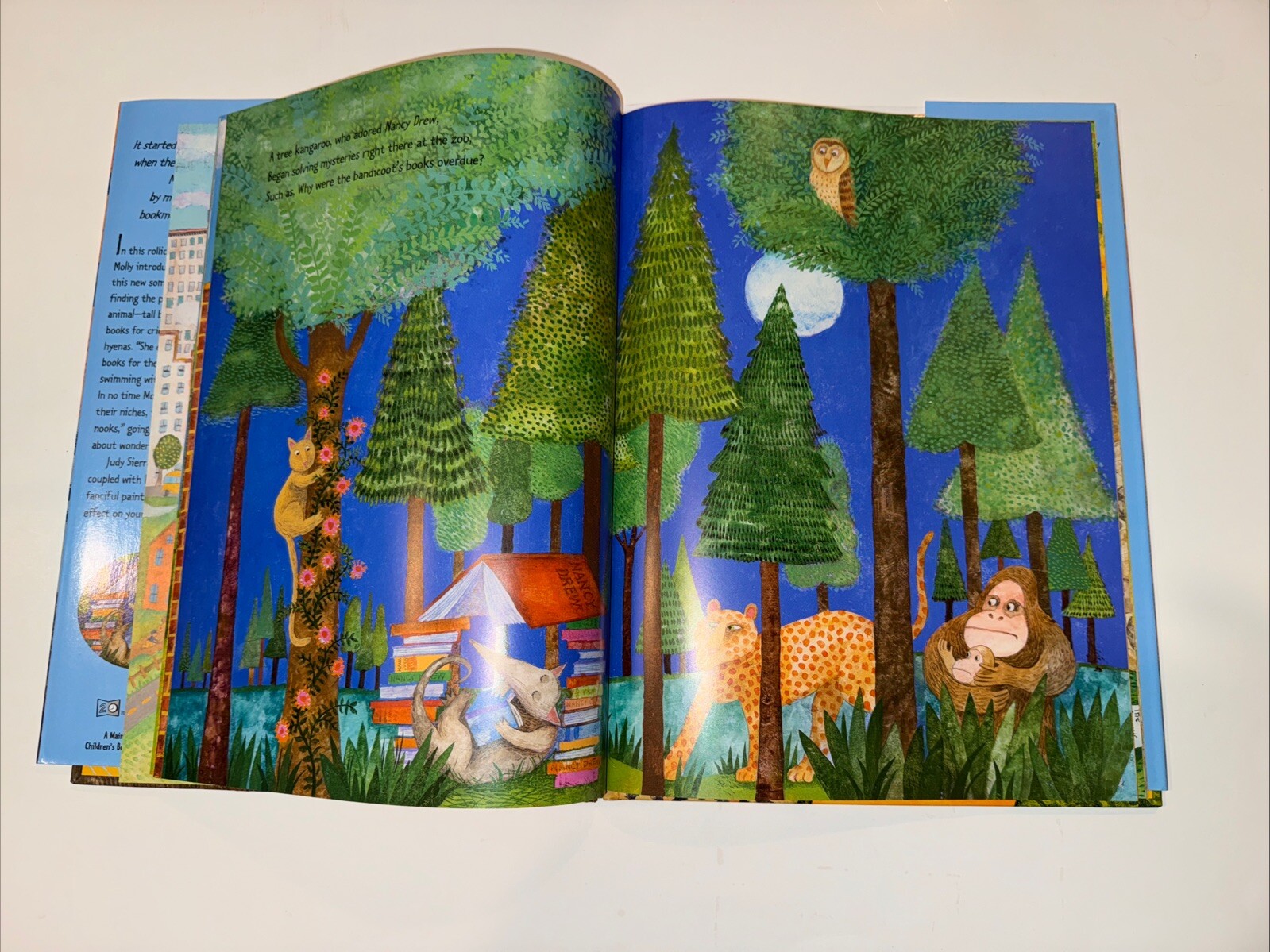 Wild About Books by Judy Sierra 2004 Hardcover w/ Dust Jacket E B White Award