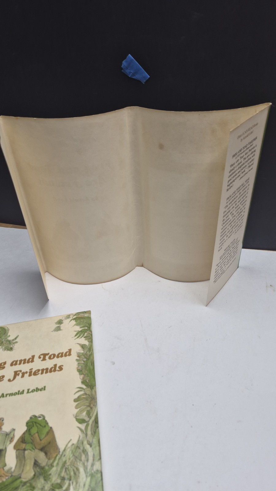 Frog and Toad Are Friends Arnold Lobel 1st Edition HC/DJ I Can Read Book VGC