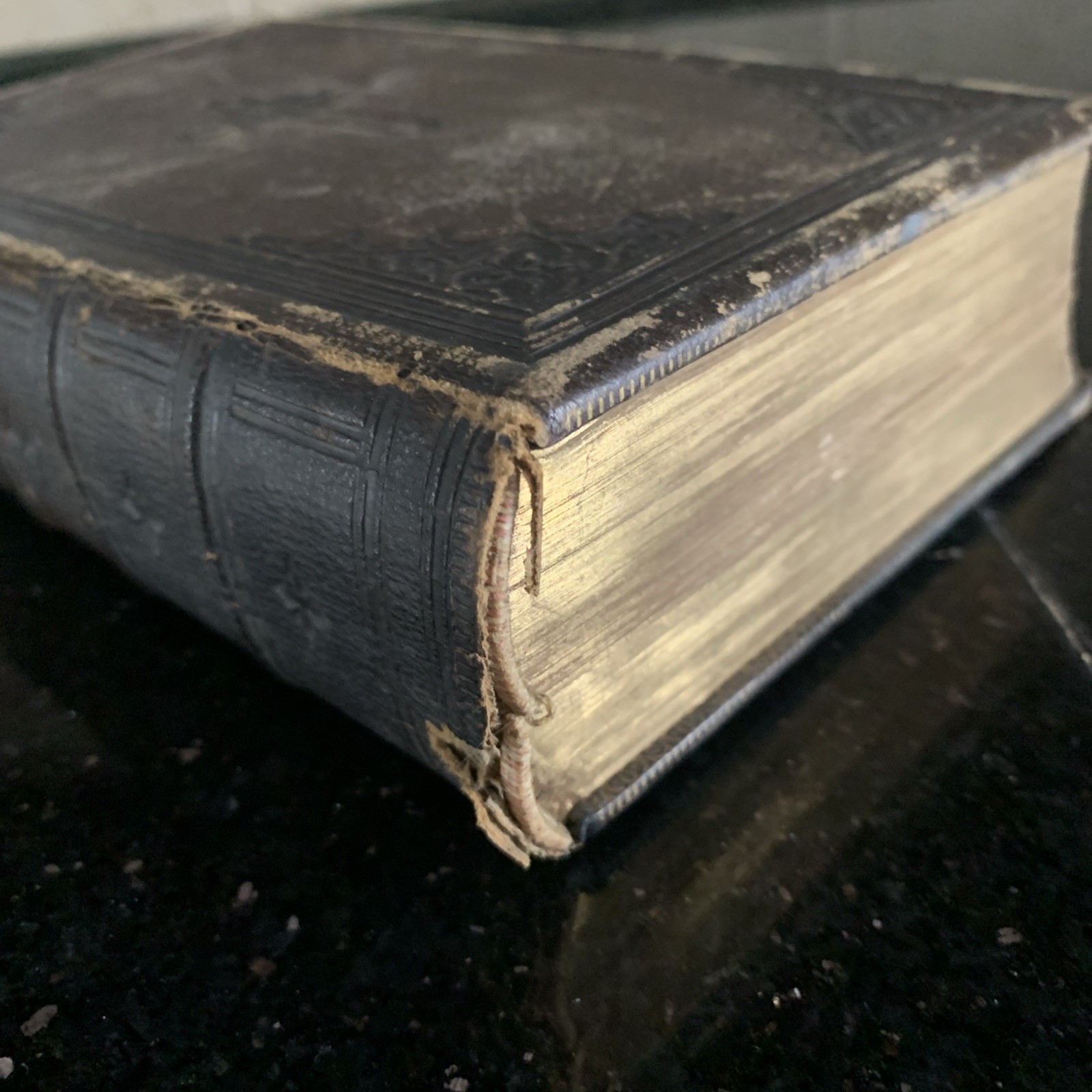 1860 Episcopal Book Of Common Prayer D. Appleton & Company