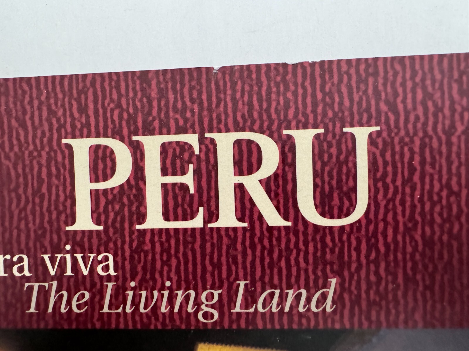 Peru The Living Land Book Tierra Viva Andes Amazon Plains English and Spanish