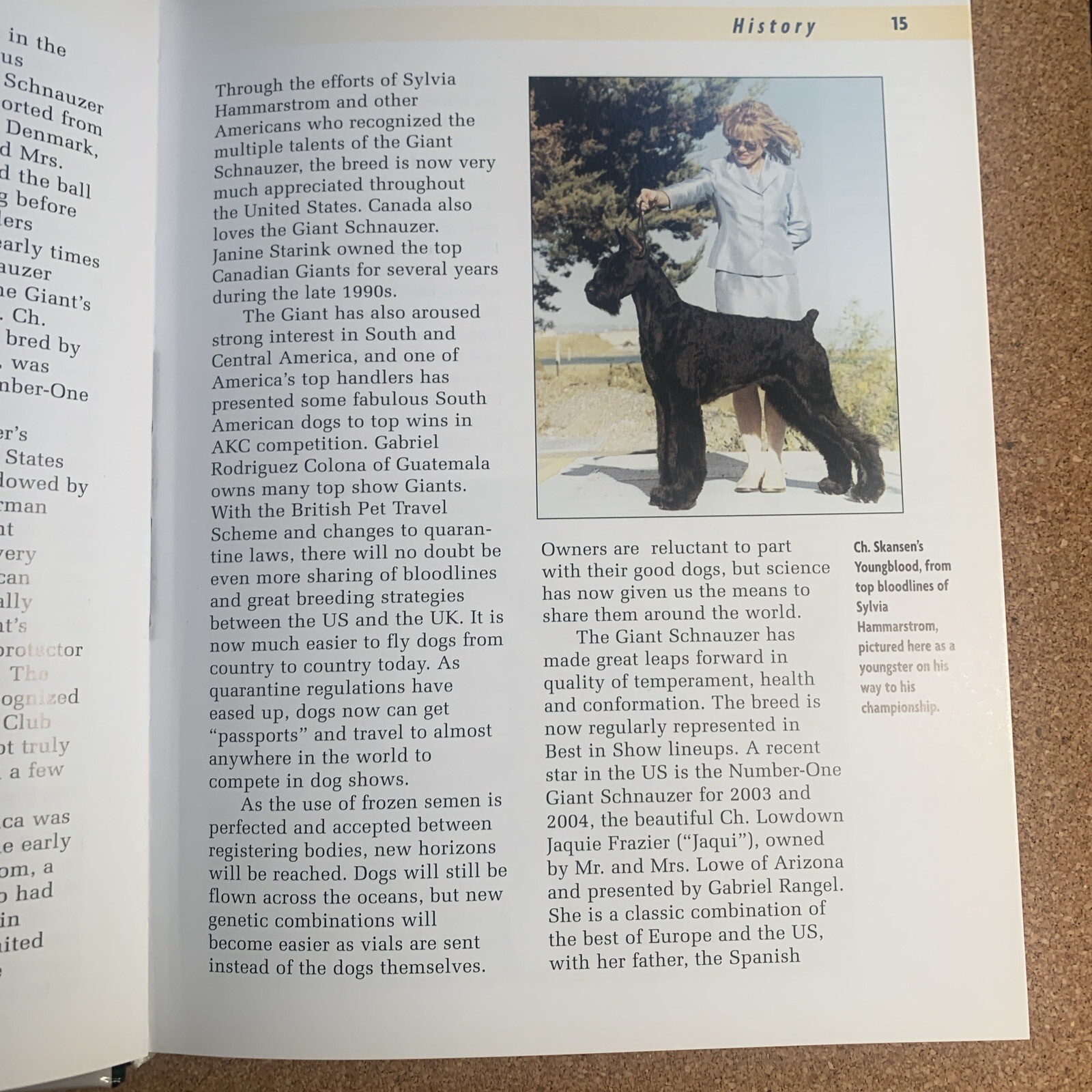 A Kennel Club Book Giant Schnauzer Comprehensive Guide To Owning And Caring For