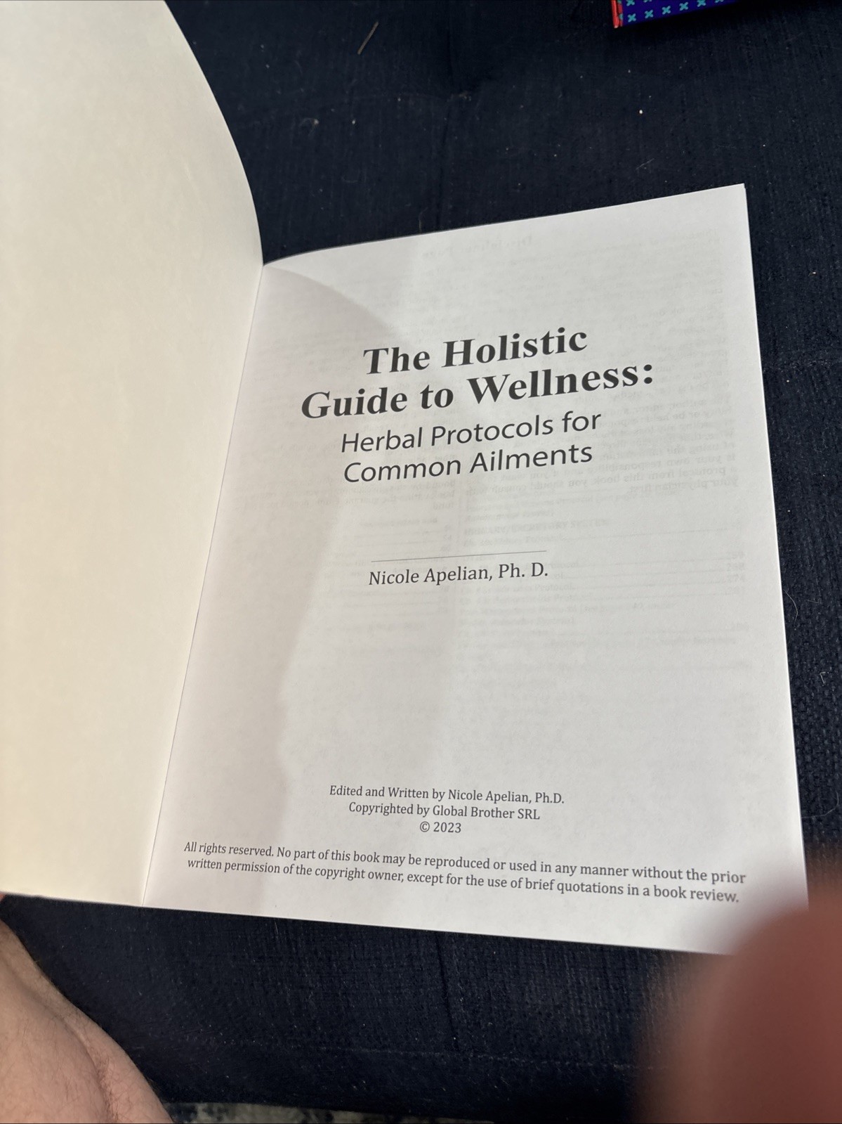 The Holistic Guide to Wellness by Nicole Apelian English Paperback Book