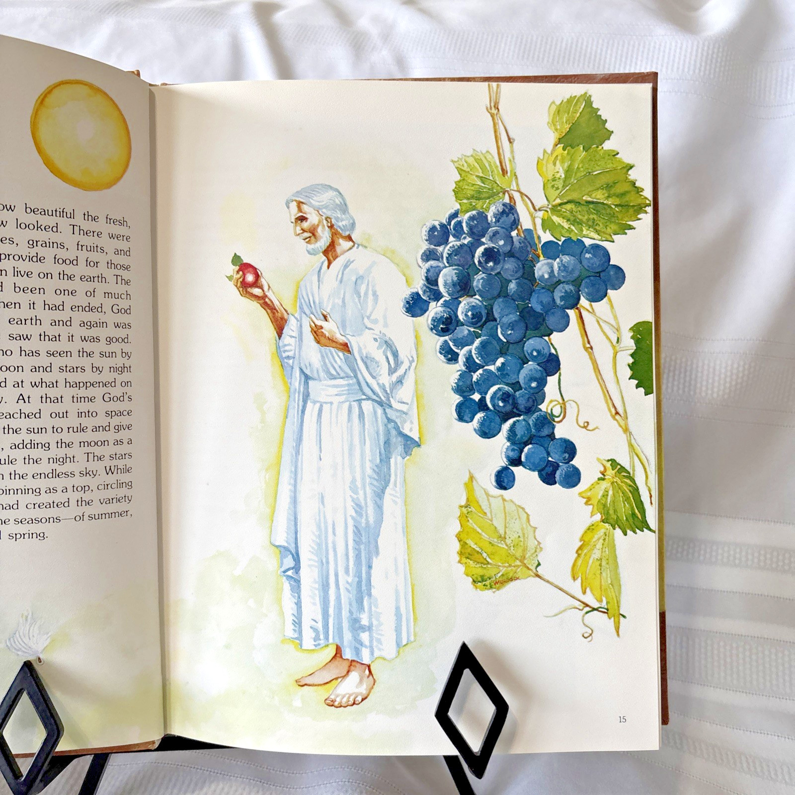 COMPLETE ILLUSTRATED STORIES FROM THE BIBLE 1st ed. 10 volumes plus study guide