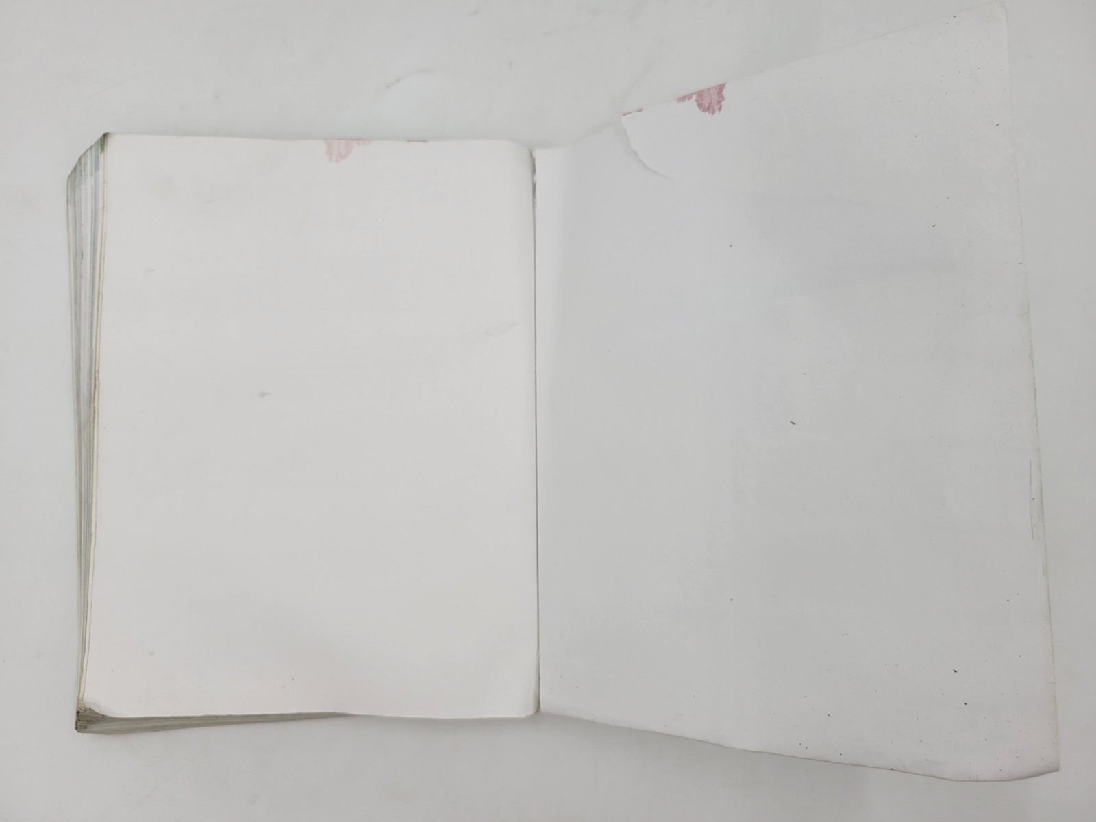 BJU PRESS Life Science Student 5th Edition 2019 Well-Used 513051-06-02