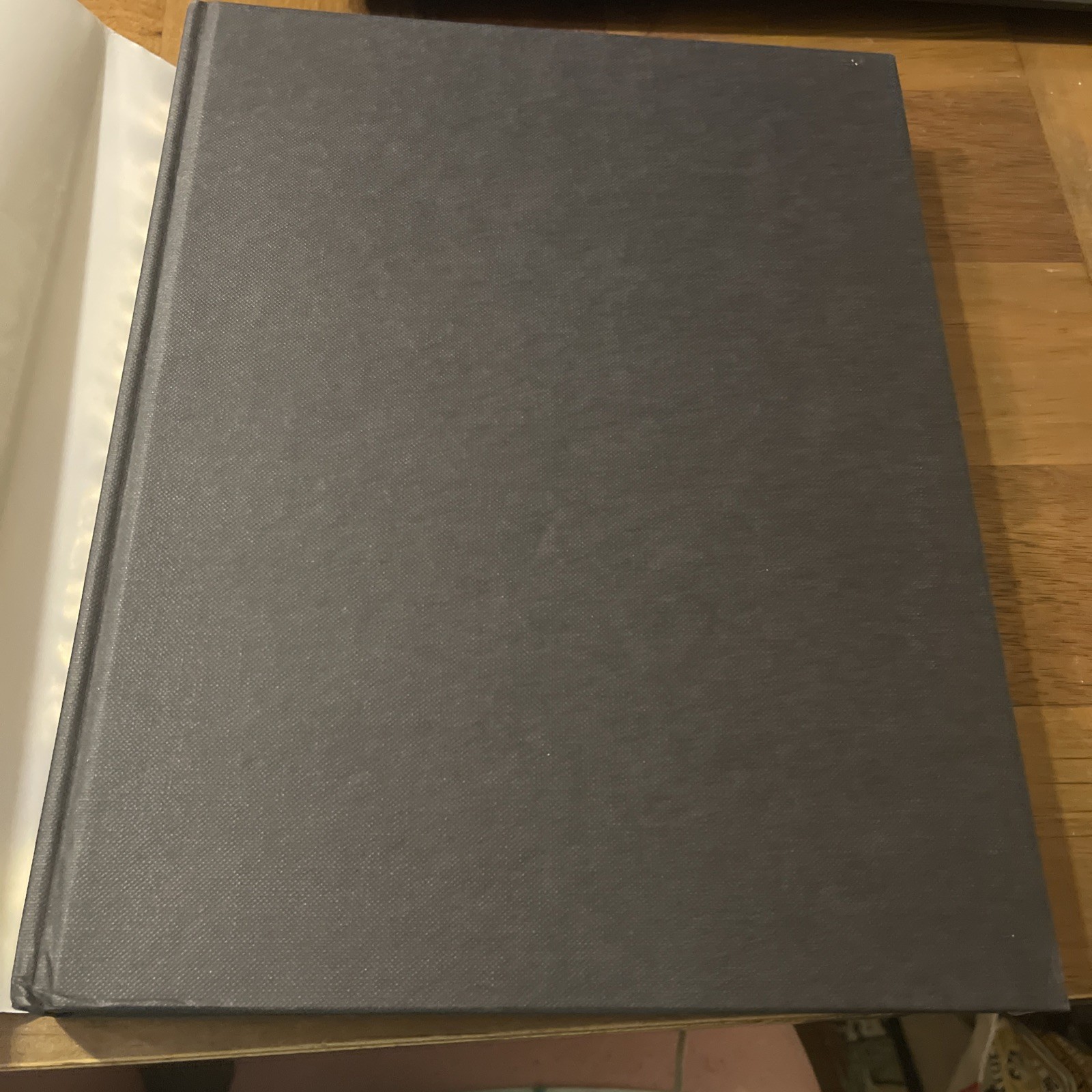 Encyclopedia of Garden Ferns by Sue Olsen (2007, Hardcover)