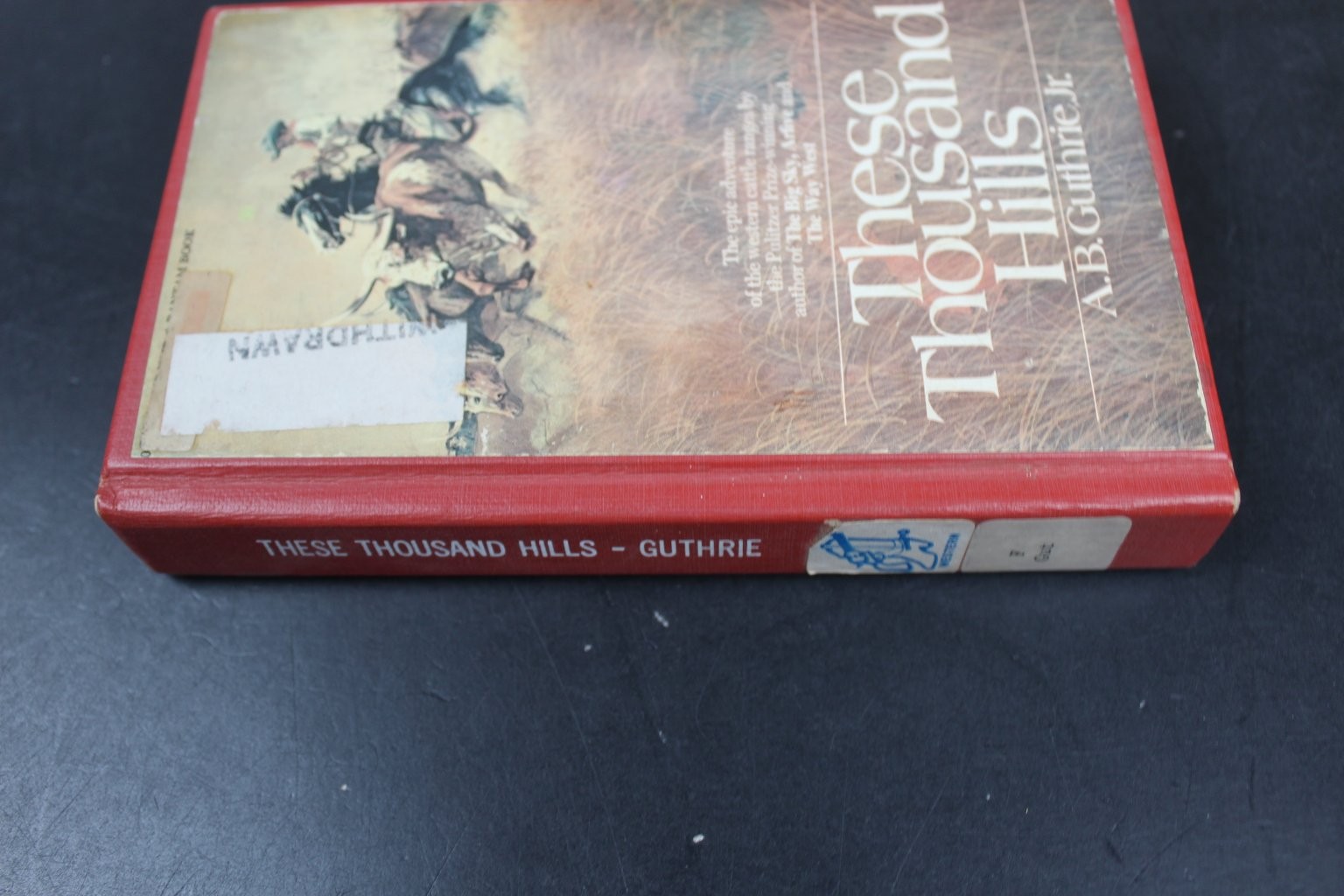 These Thousand Hills A.B. Guthrie Jr. 1976 Bantam Western Adventure Book HC