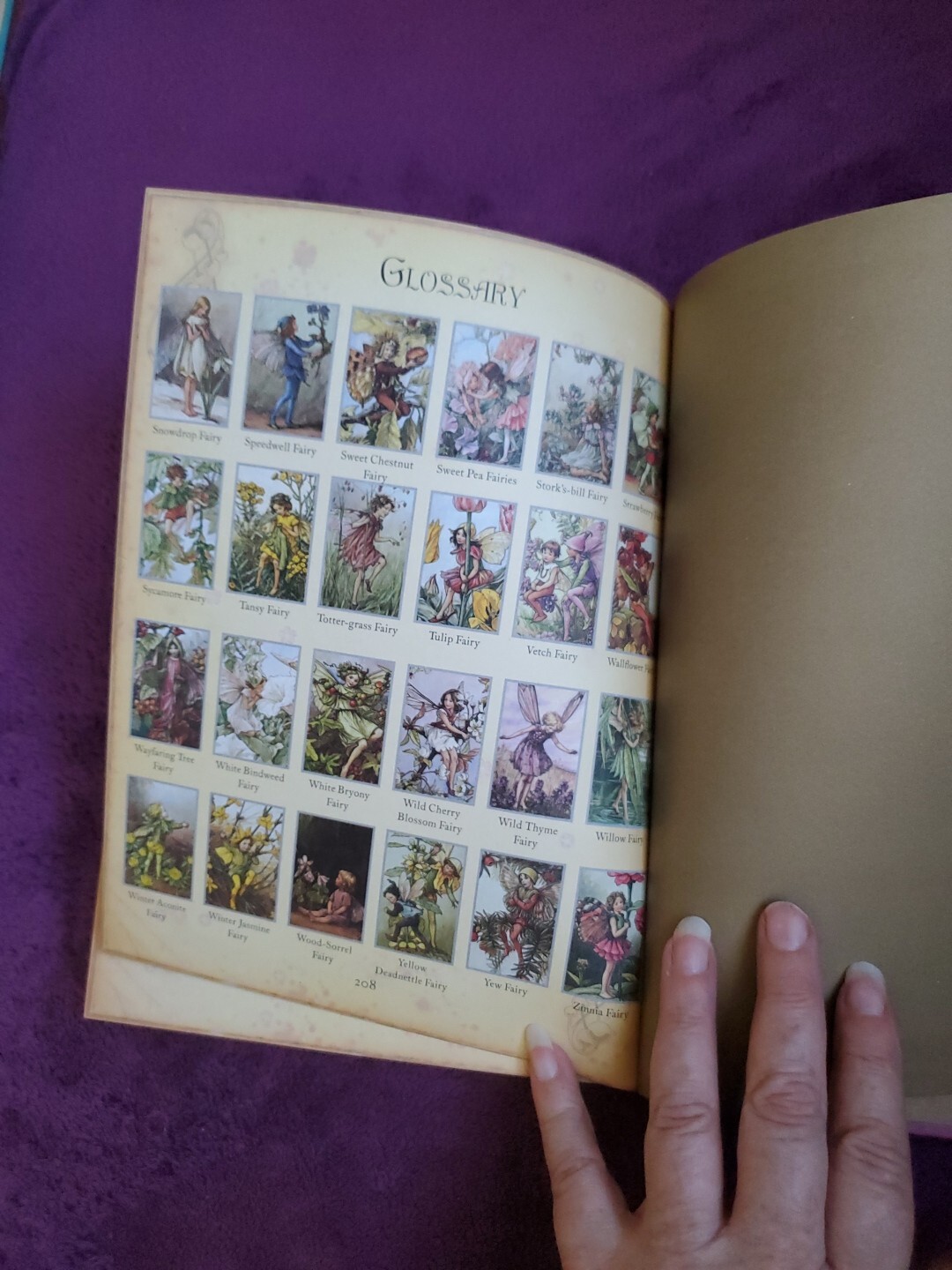 The Girls‘ Book of Flower Fairies (HC, 2008) Frederick Warne (Crafts & Stories)