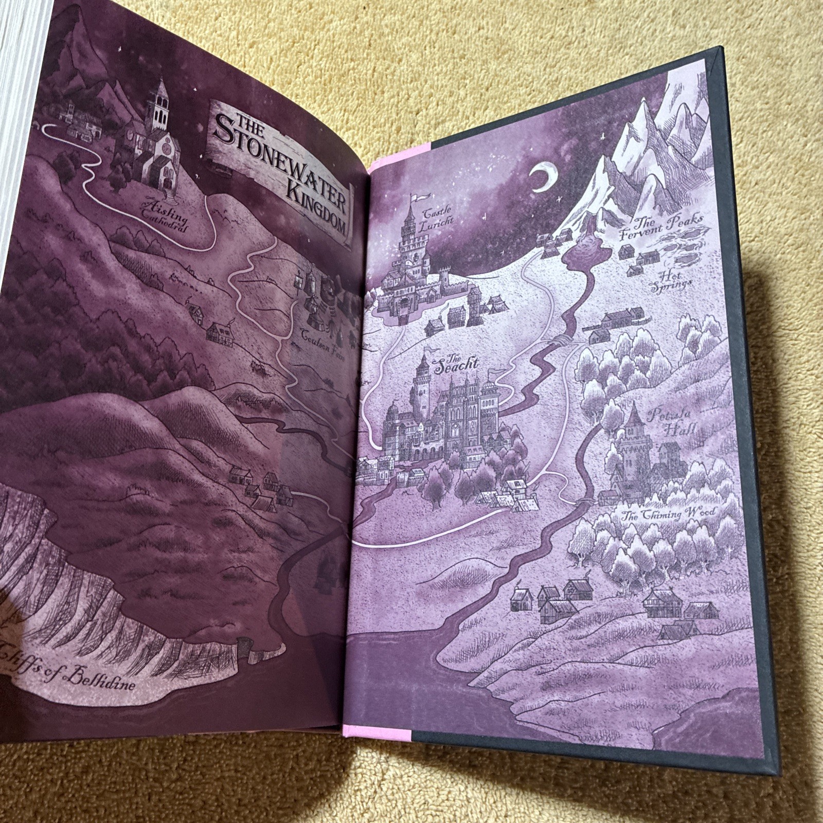 The Knight and the Moth by Rachel Gillig TARGET EXCLUSIVE EDITION
