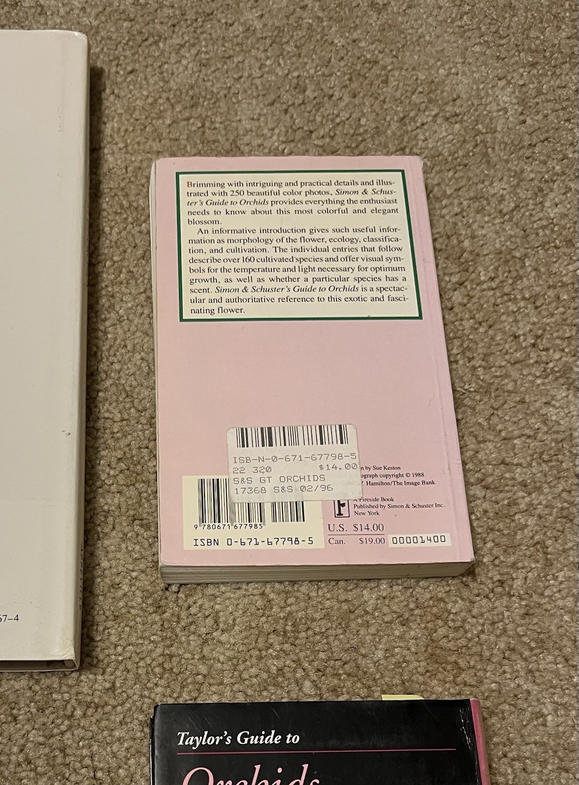 All About Growing ORCHID Flowers Garden Expert Guide Book Illustrated Lot x6 VG