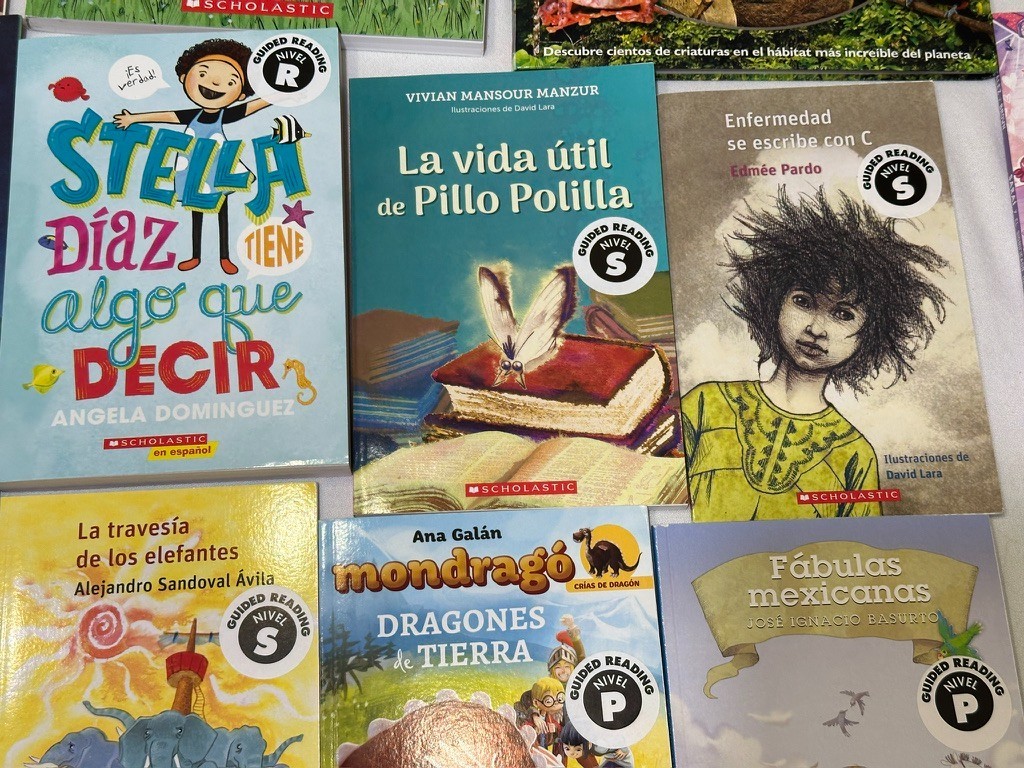 Scholastic 40 SPANISH Grade 4-6 Guided Reading Readers Books Level P, Q, R, S