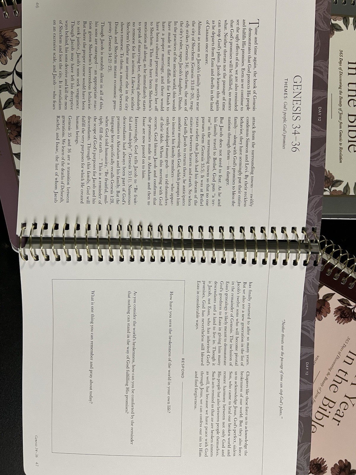 The Daily Grace Co. A Year in the Bible Daily Spiral Planner