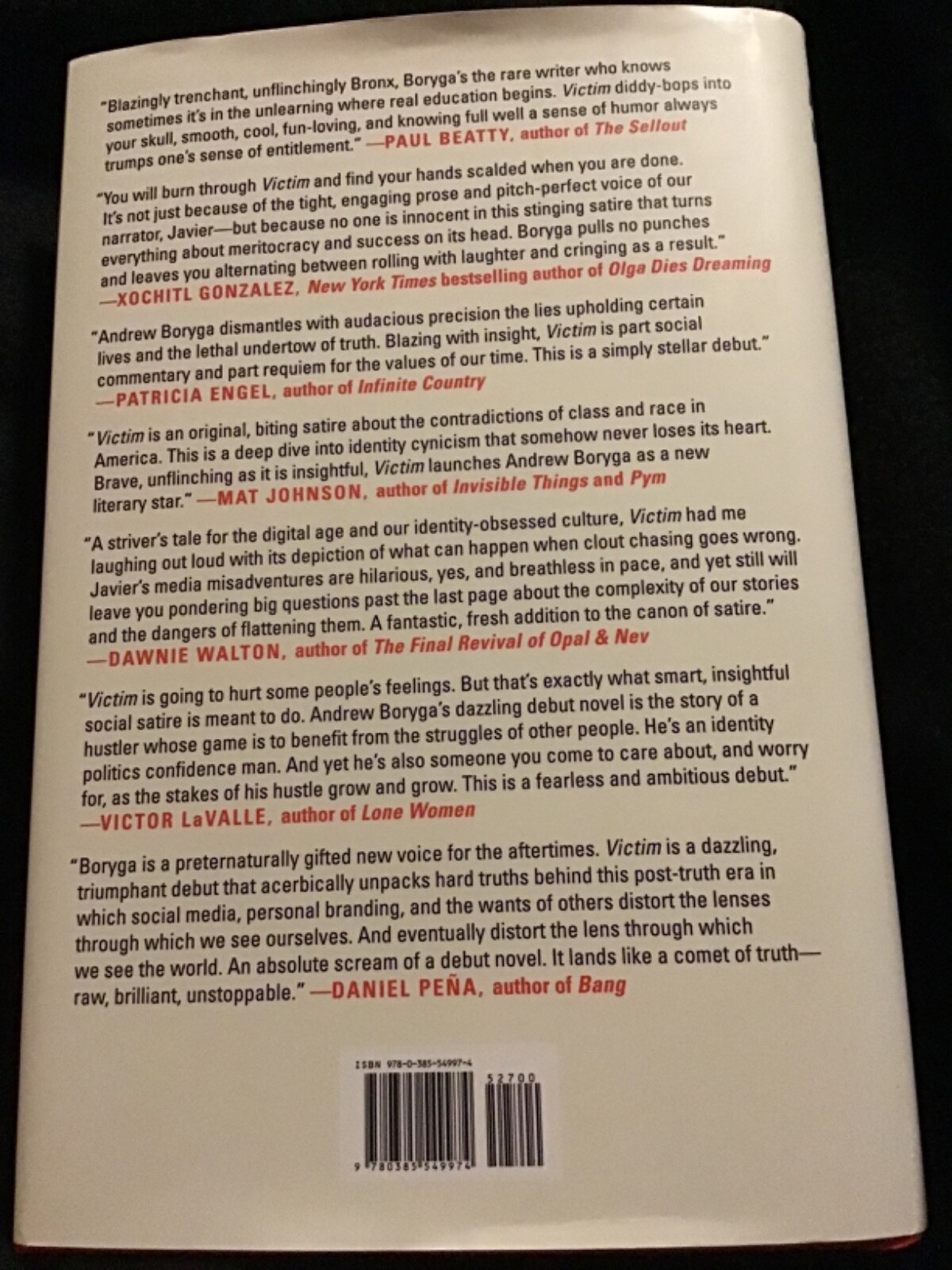 Victim (Hardcover- USED) book, by Boryga Andrew -2024, 276 pages,Very Good-Used